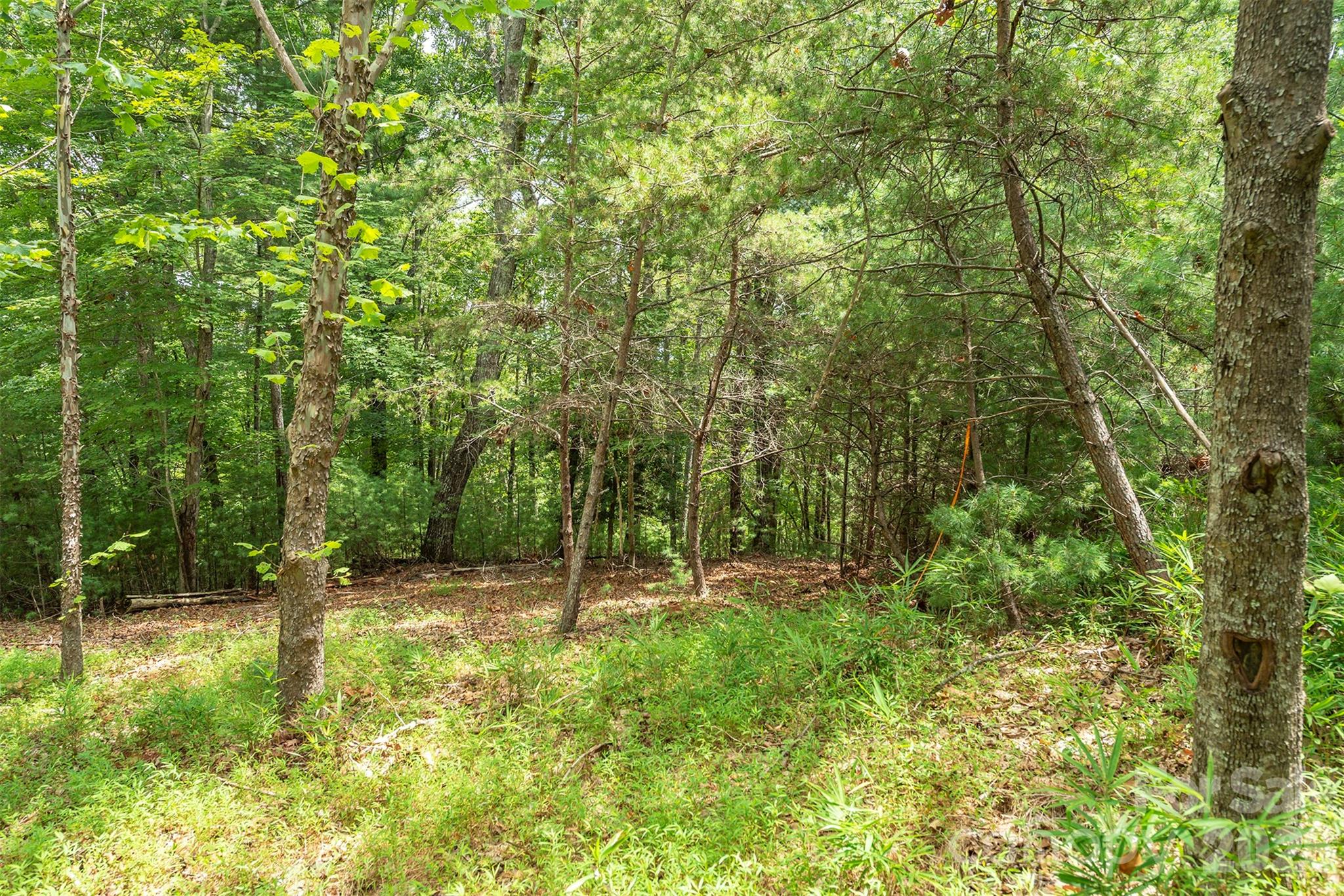 Lot 46 Black Forest Drive Property Photo 8