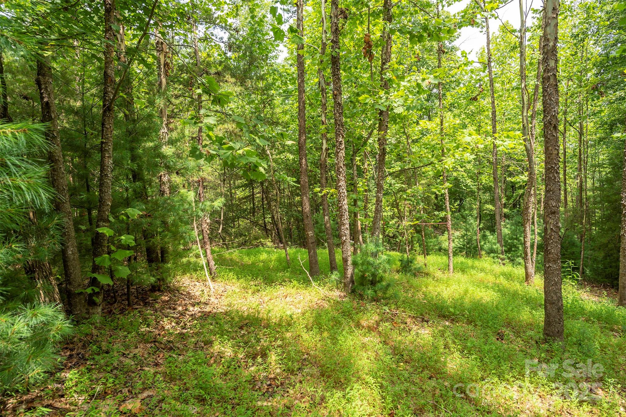 Lot 46 Black Forest Drive Property Photo 9