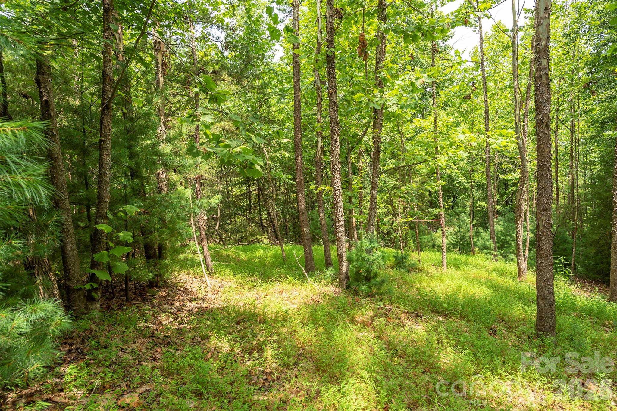 Lot 46 Black Forest Drive Property Photo 9