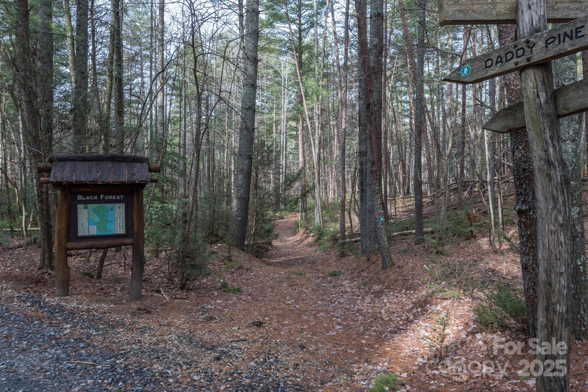 Lot 46 Black Forest Drive Property Photo 20