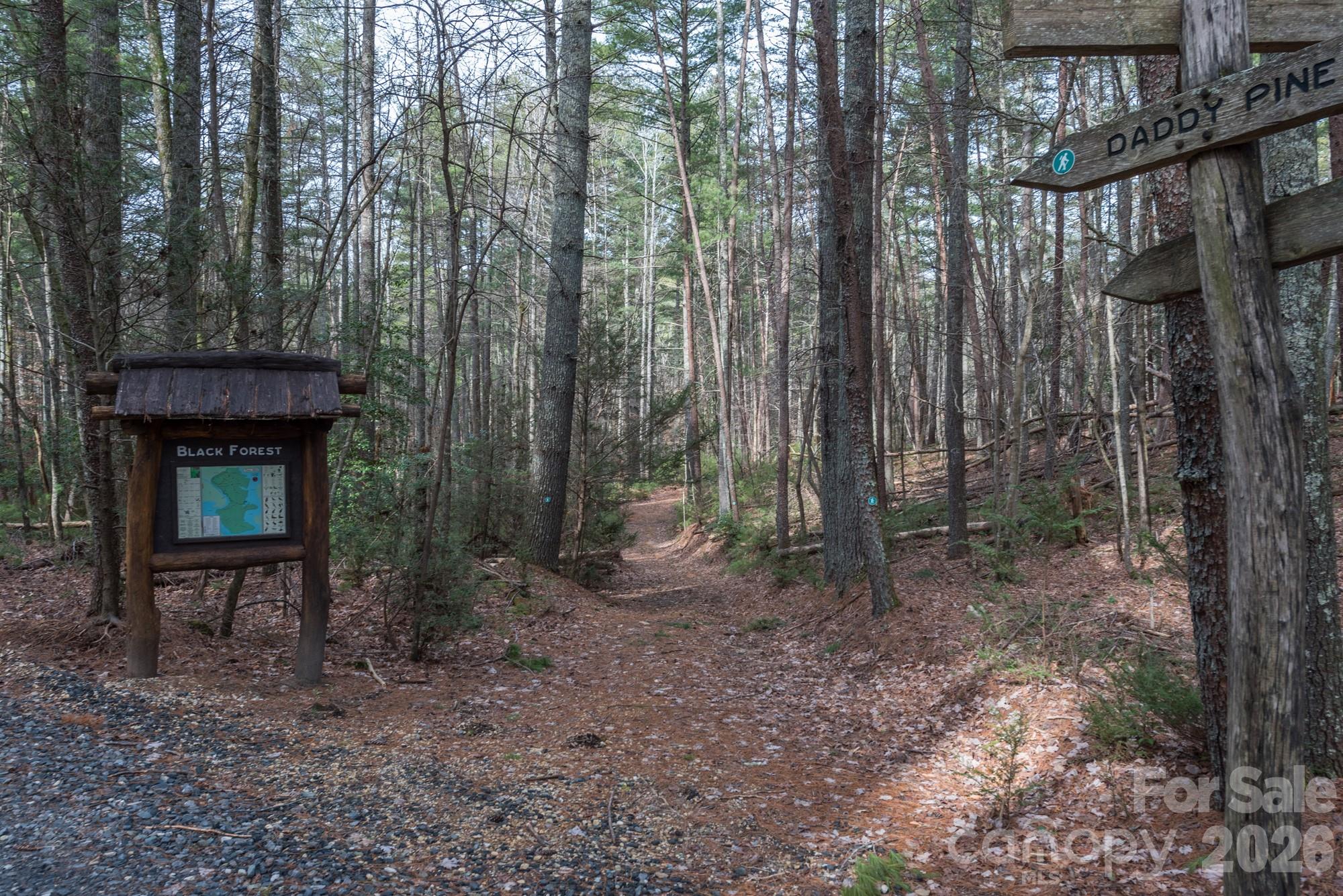 Lot 46 Black Forest Drive Property Photo 20