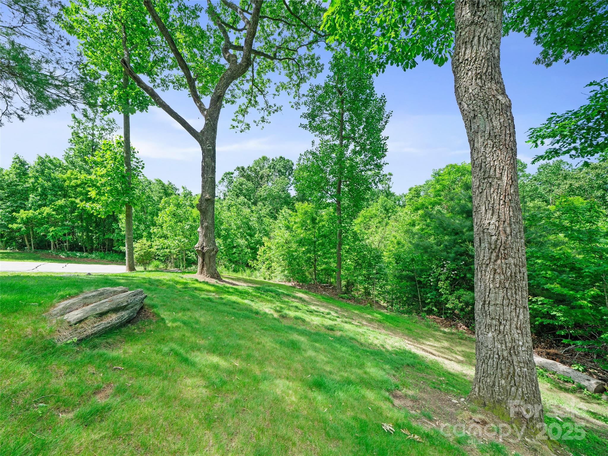 99999 Millbrae Loop Property Photo 5