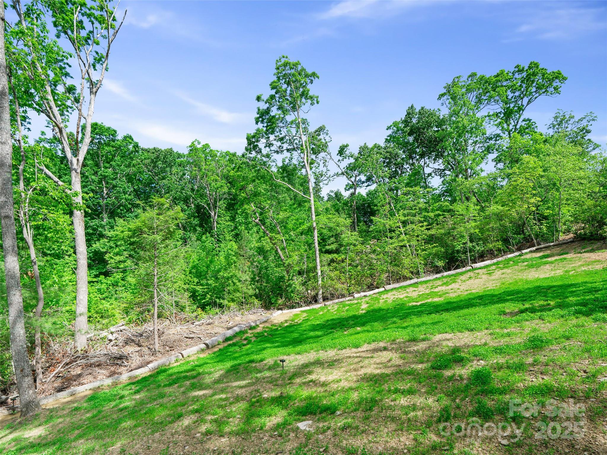 99999 Millbrae Loop Property Photo 8