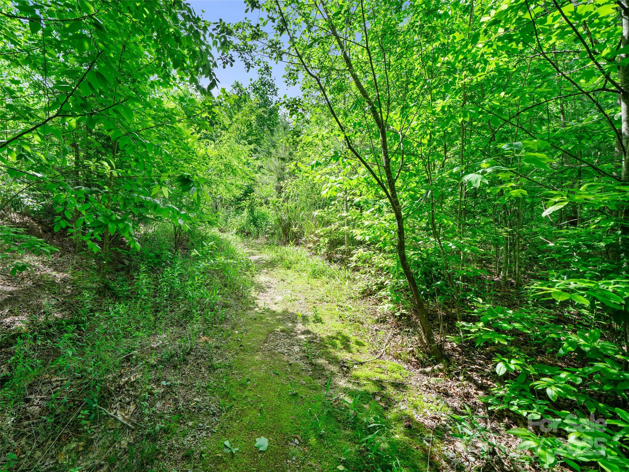 99999 Millbrae Loop Property Photo 10