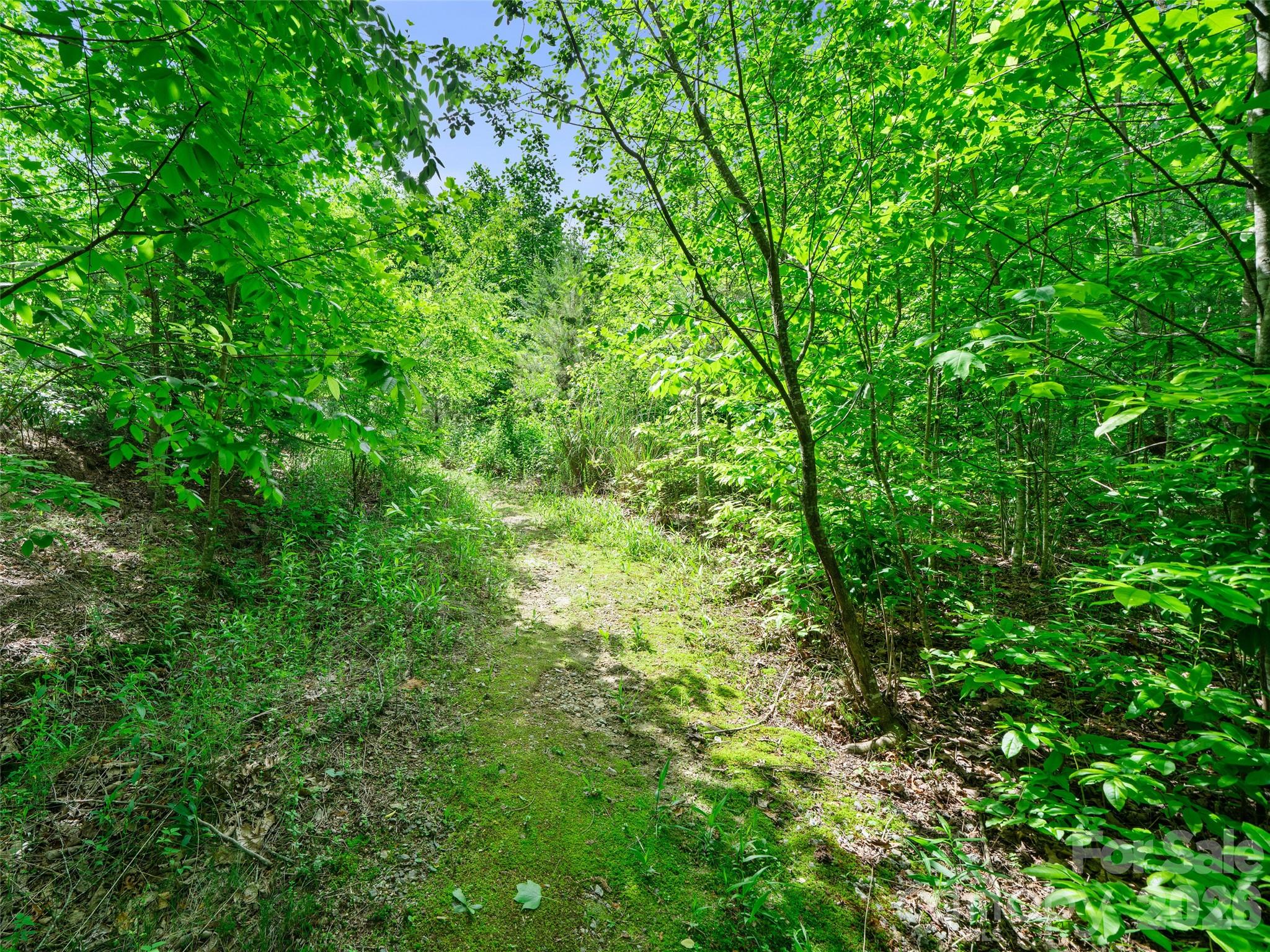 99999 Millbrae Loop Property Photo 10