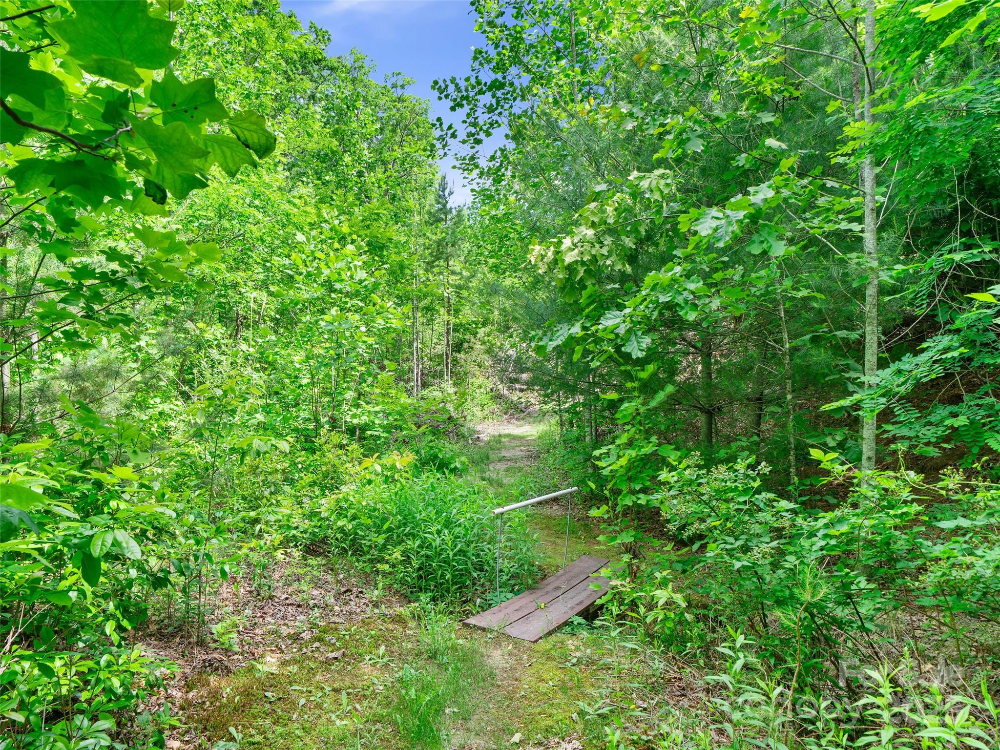 99999 Millbrae Loop Property Photo 11