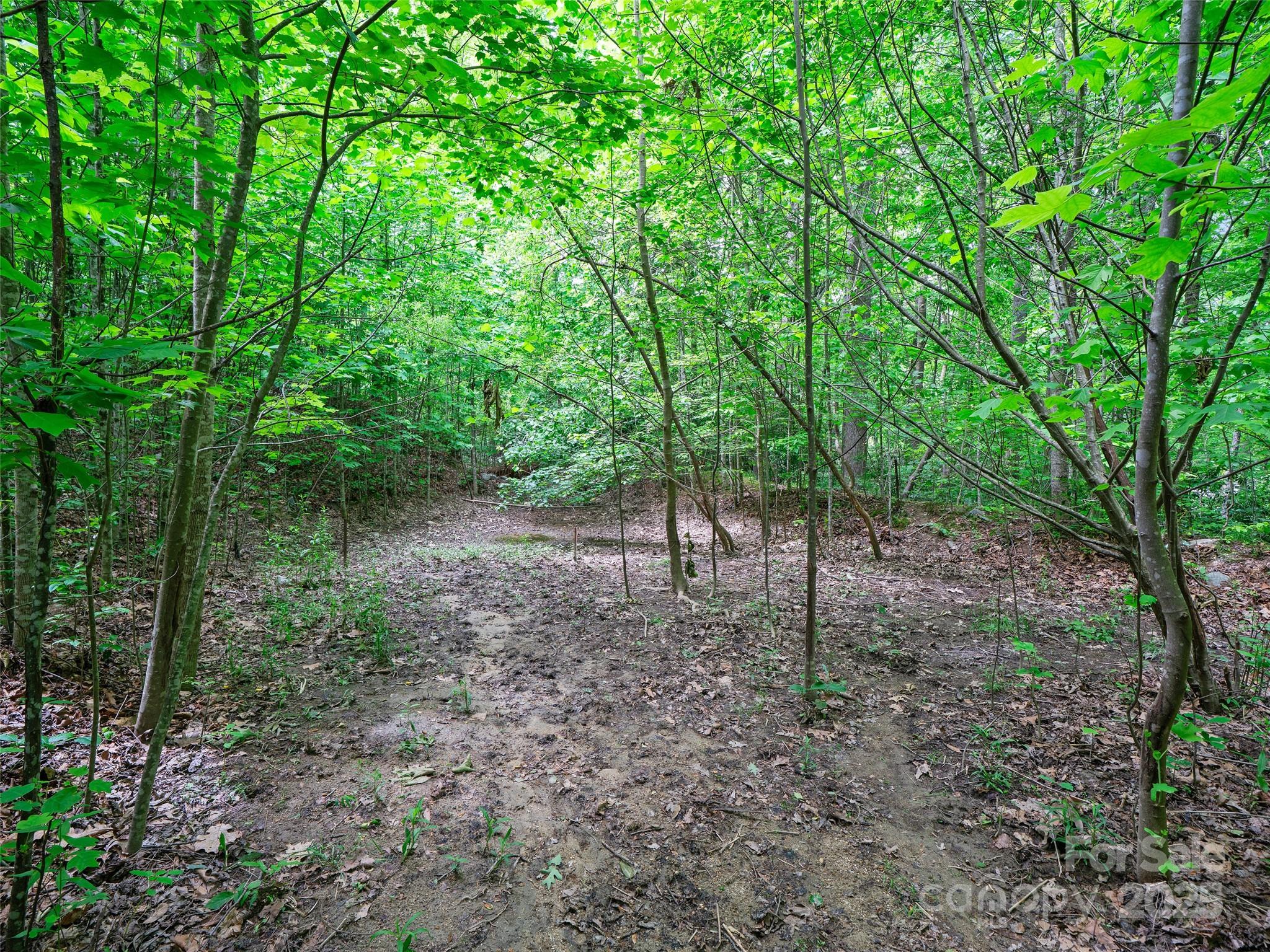 99999 Millbrae Loop Property Photo 12