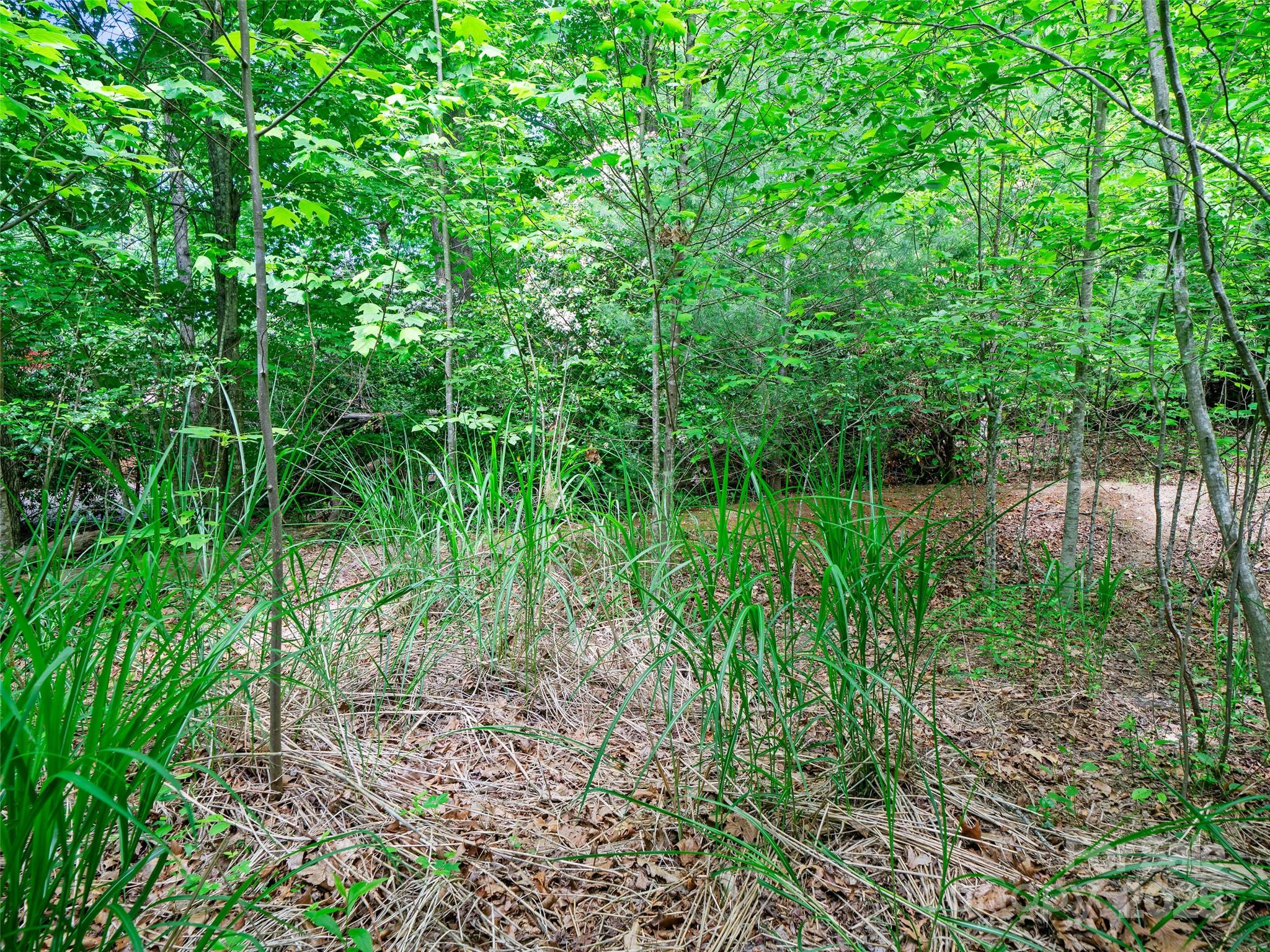 99999 Millbrae Loop Property Photo 13