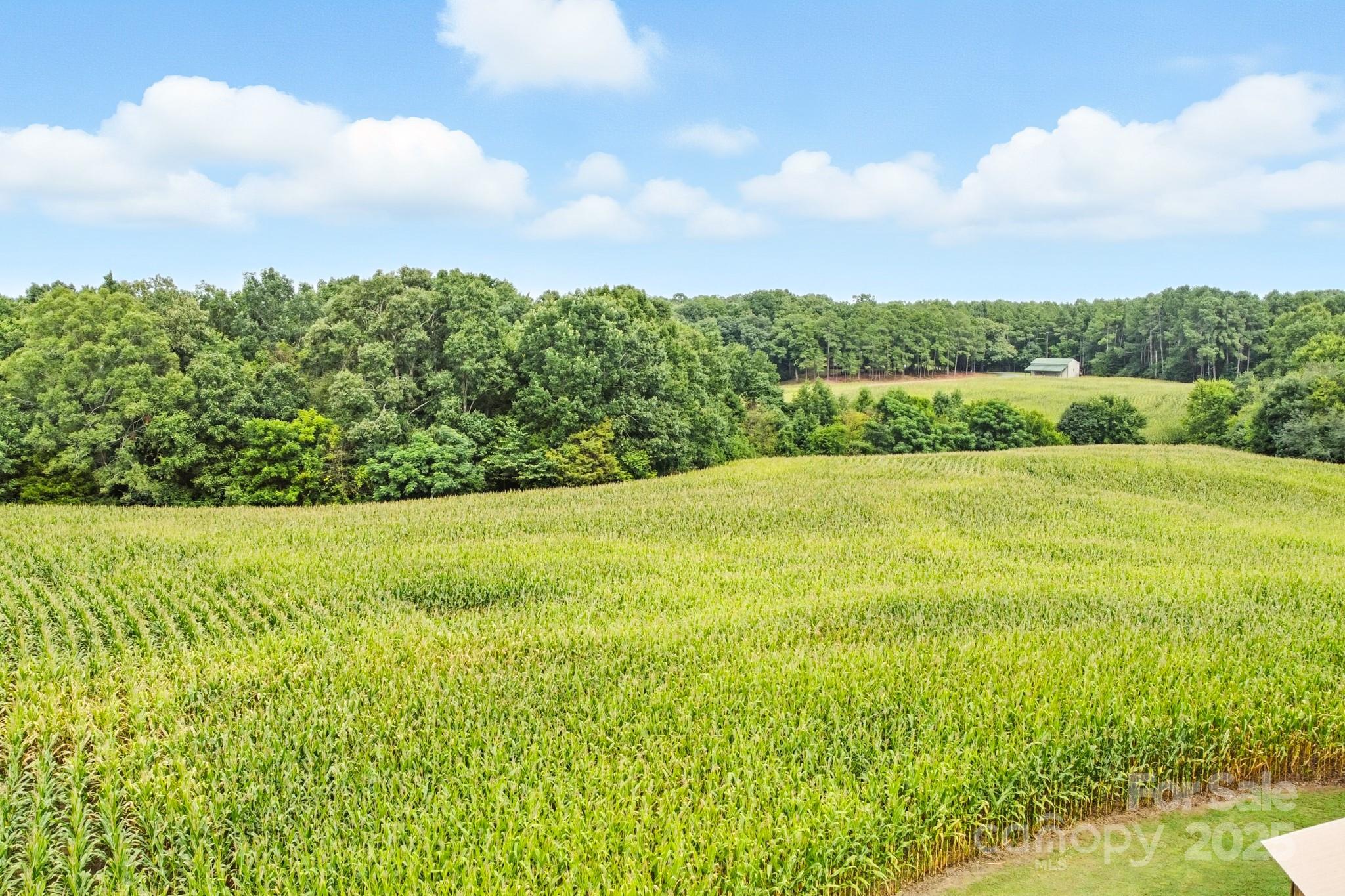 2615 High Ridge Church Road Property Photo 41