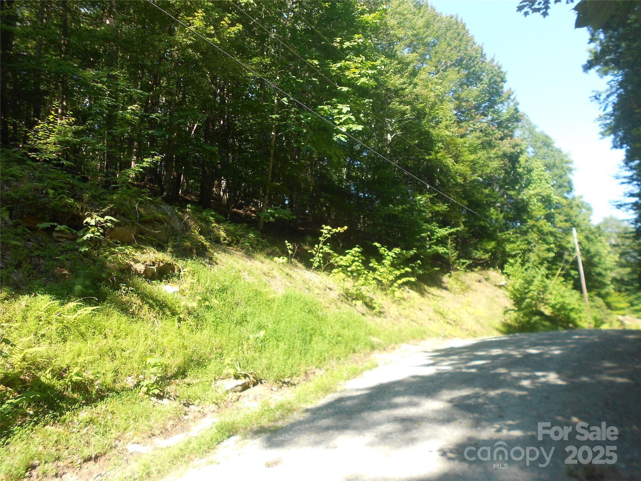 154 Raccoon Road Property Photo 11