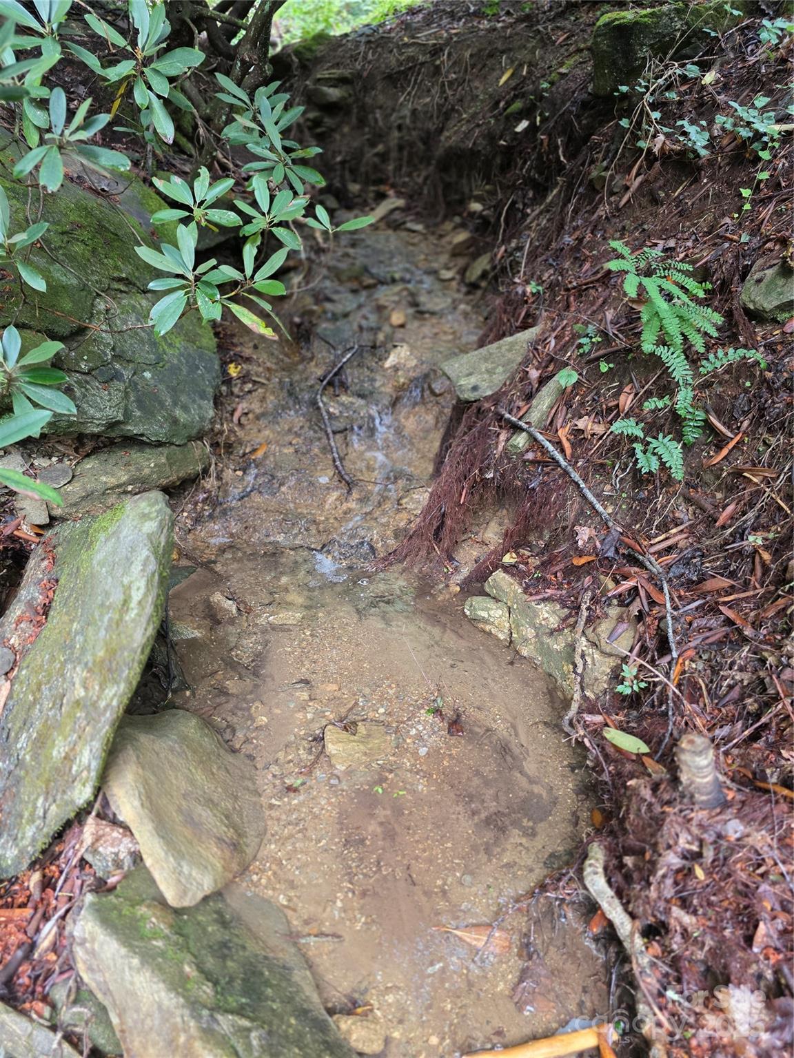 1145 Bearwallow Mountain Road Property Photo 40