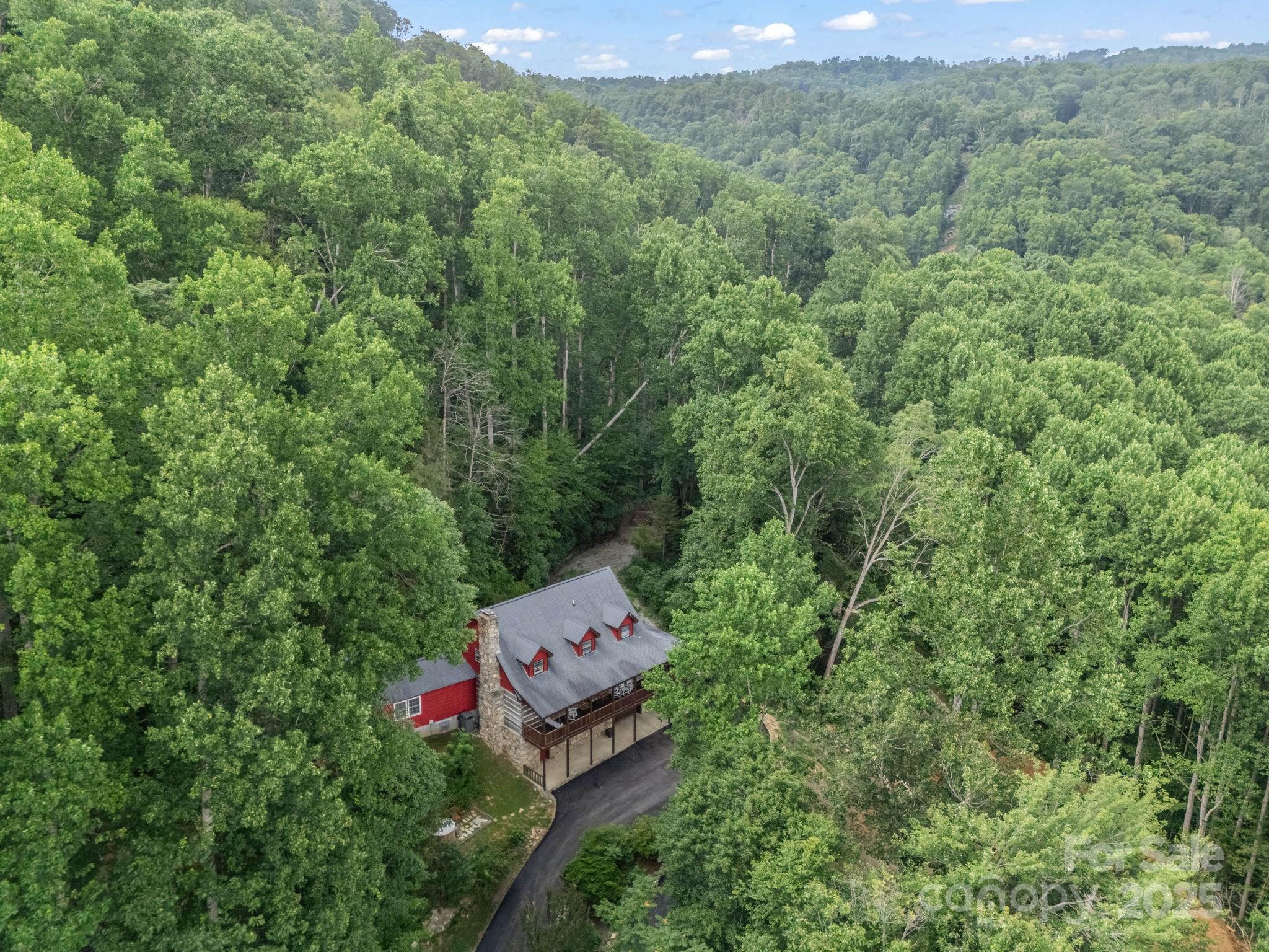 1145 Bearwallow Mountain Road Property Photo 42