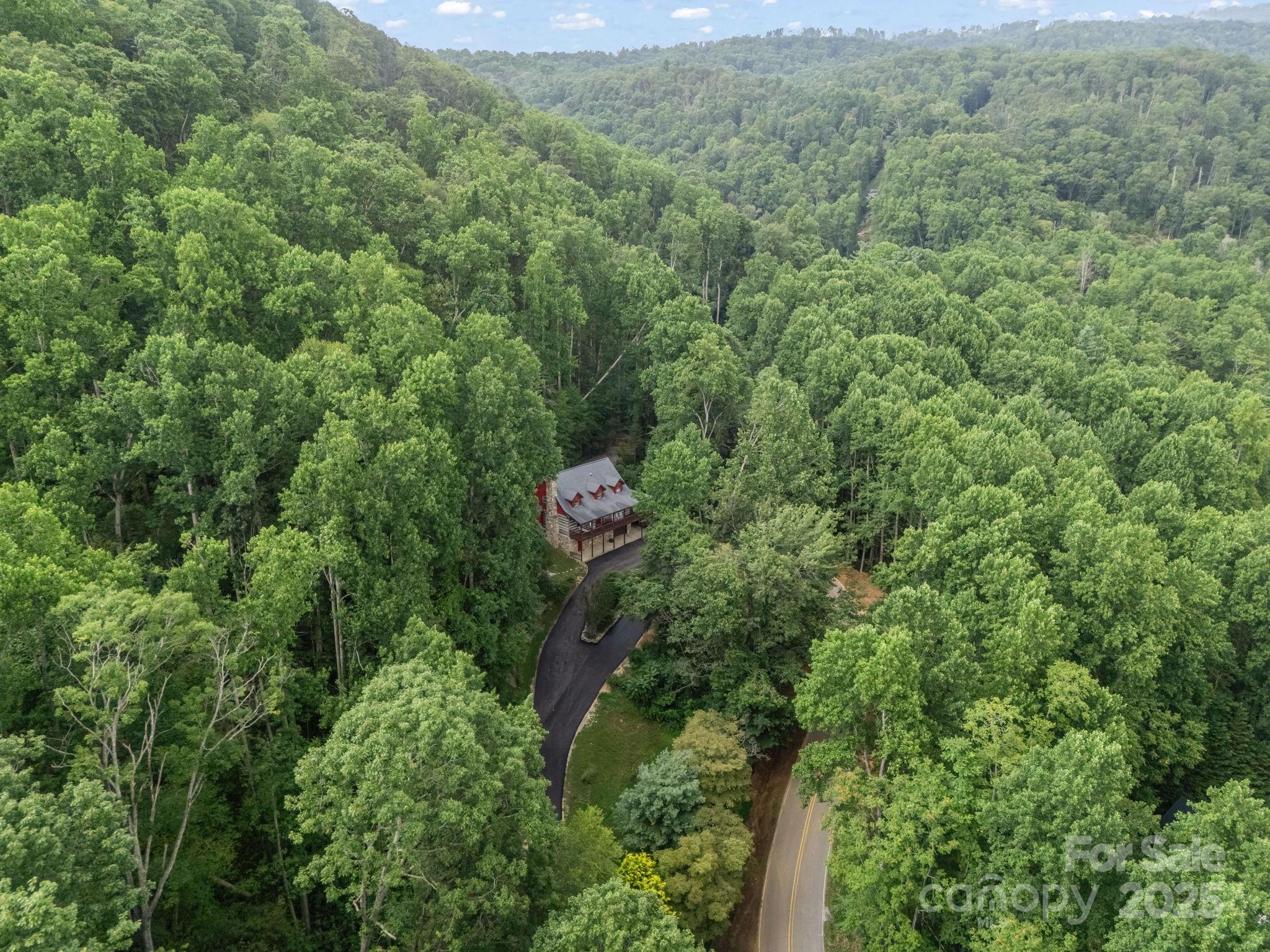 1145 Bearwallow Mountain Road Property Photo 43