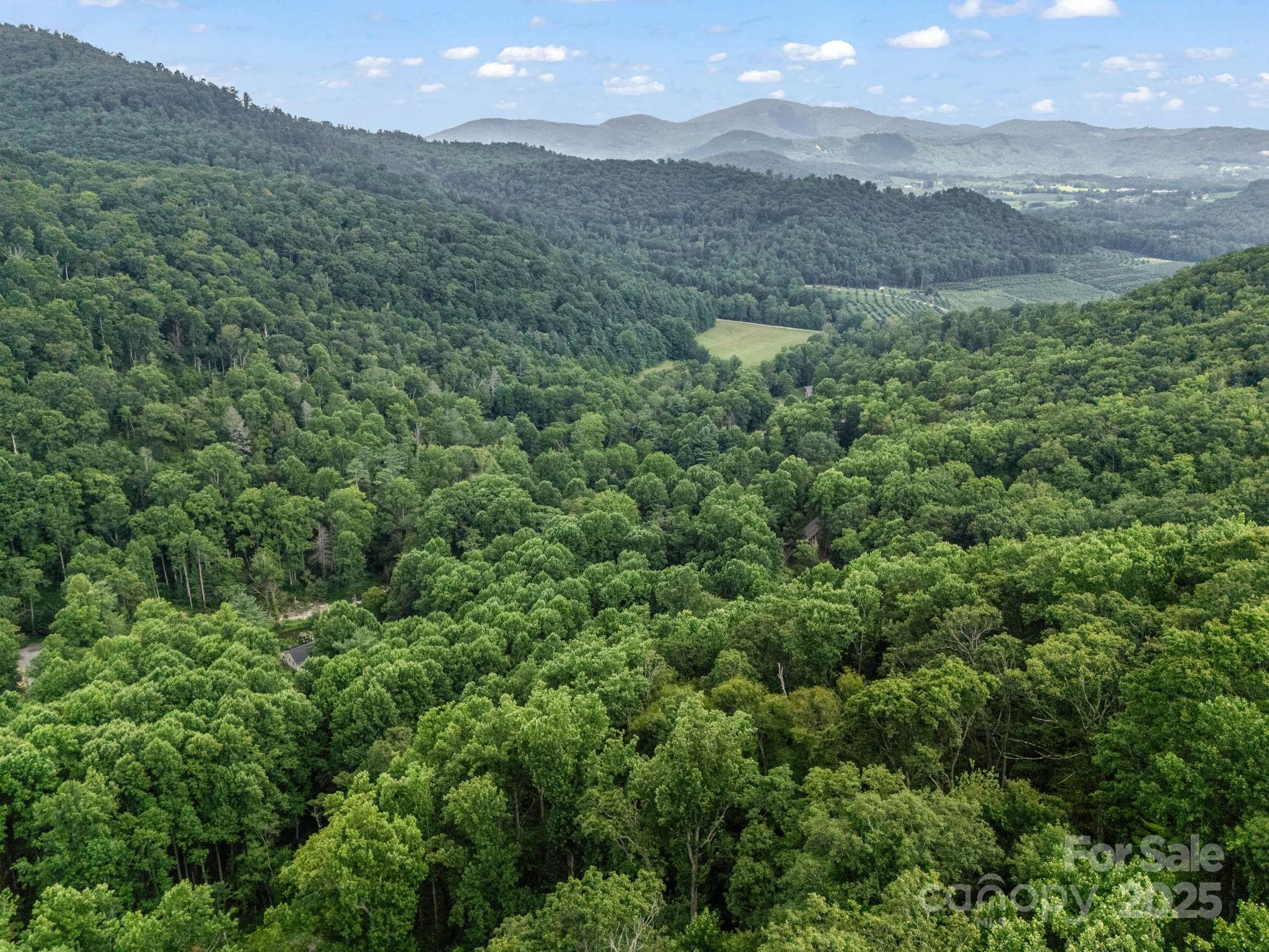 1145 Bearwallow Mountain Road Property Photo 44