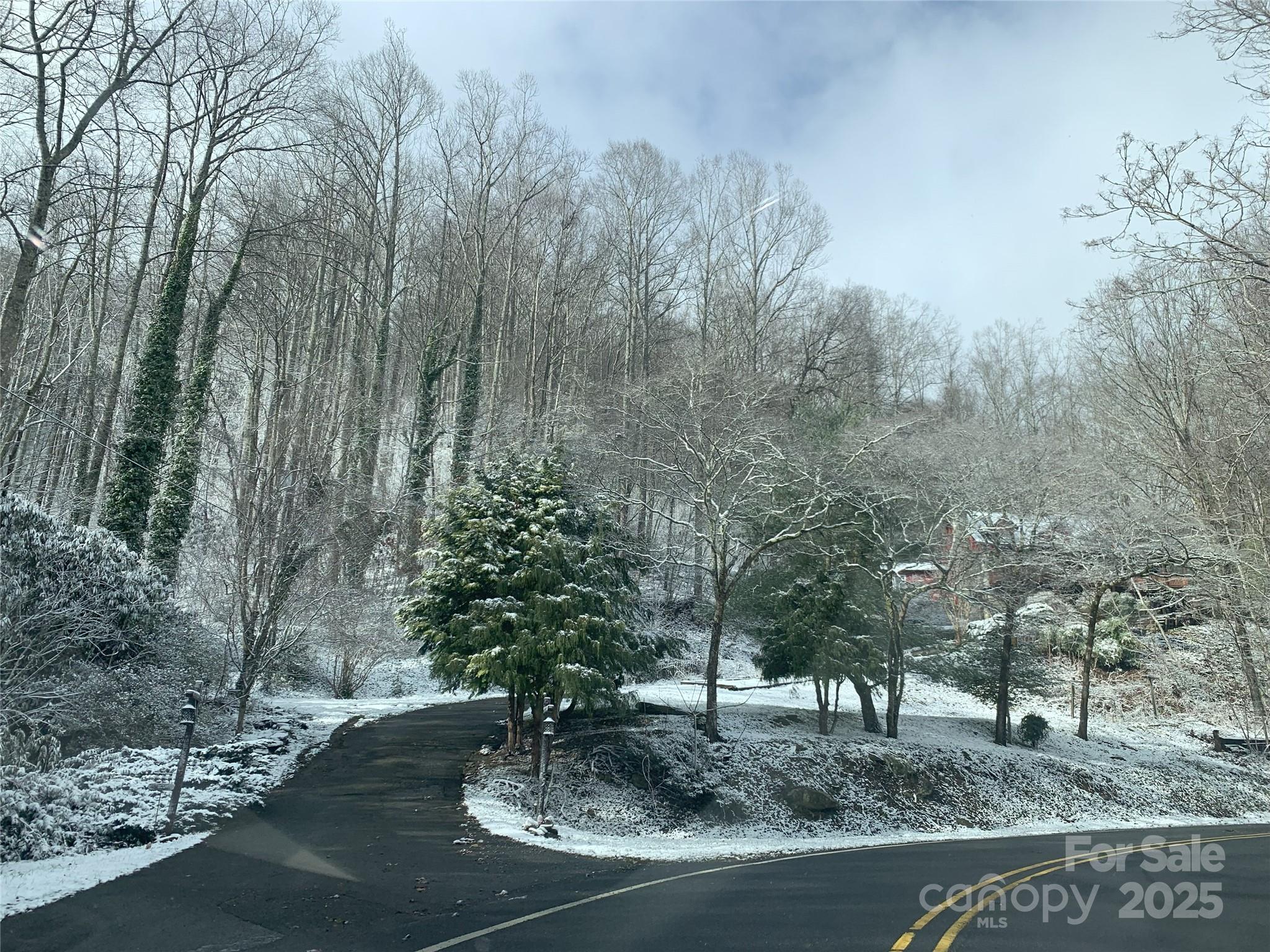1145 Bearwallow Mountain Road Property Photo 46