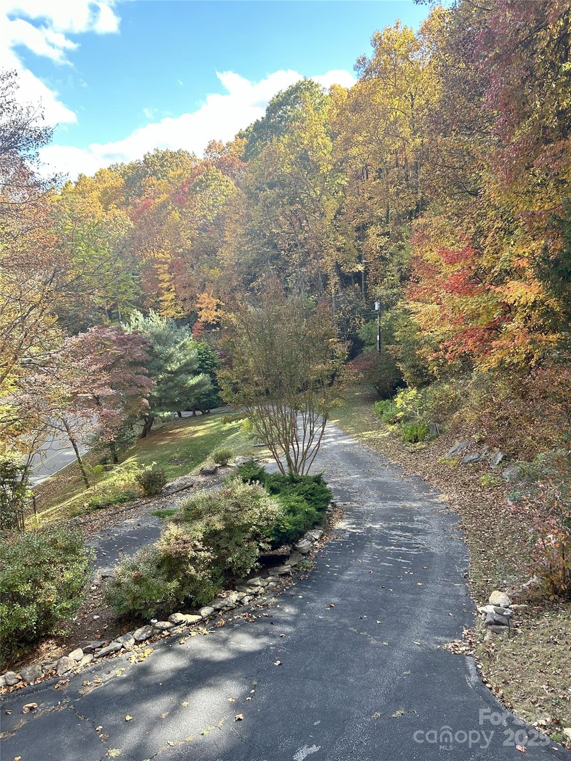 1145 Bearwallow Mountain Road Property Photo 47