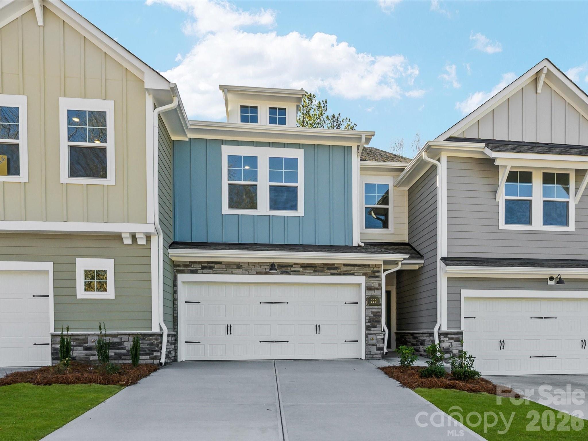 229 Alluvium Lane Property Photo 3