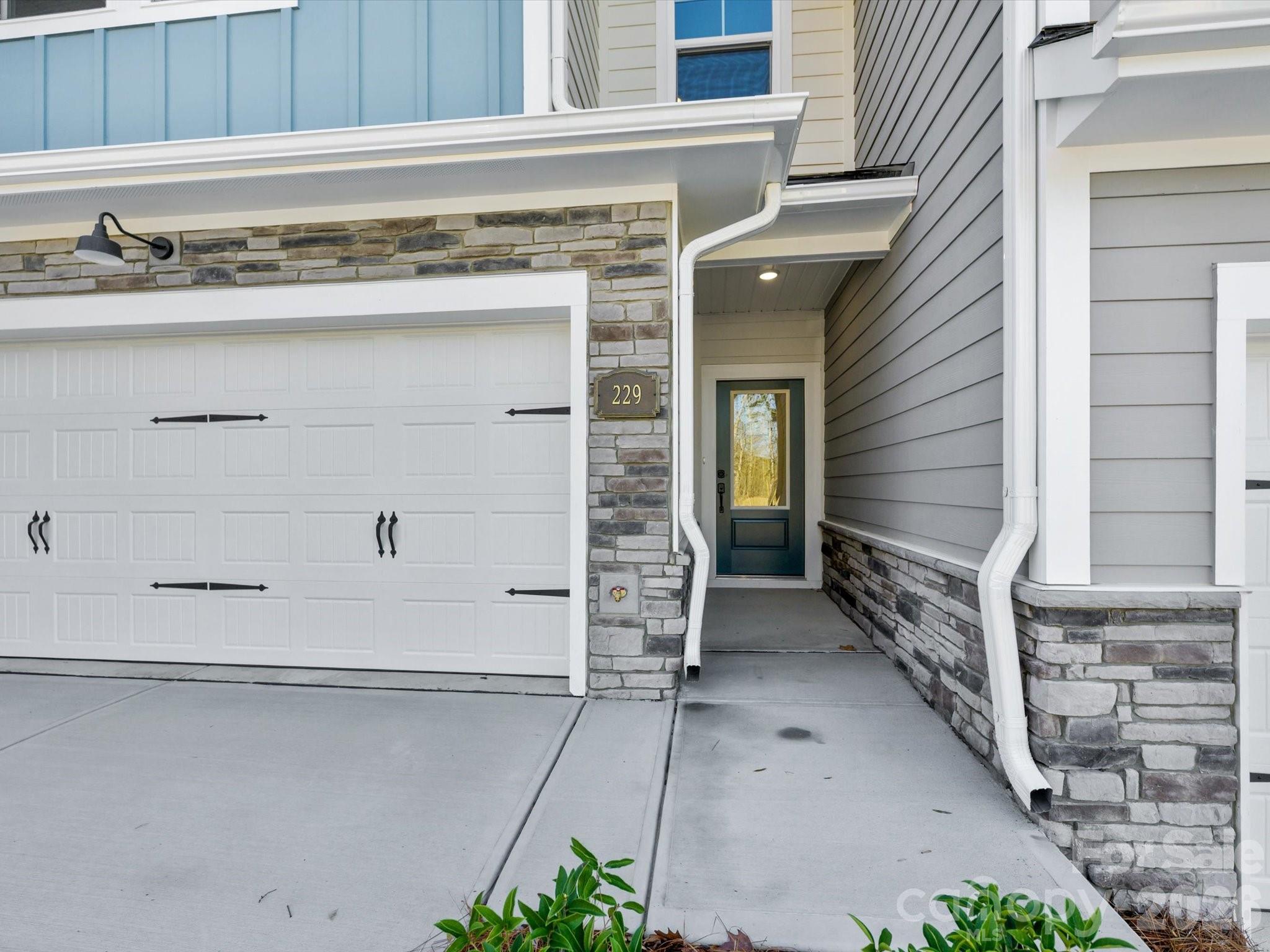 229 Alluvium Lane Property Photo 4