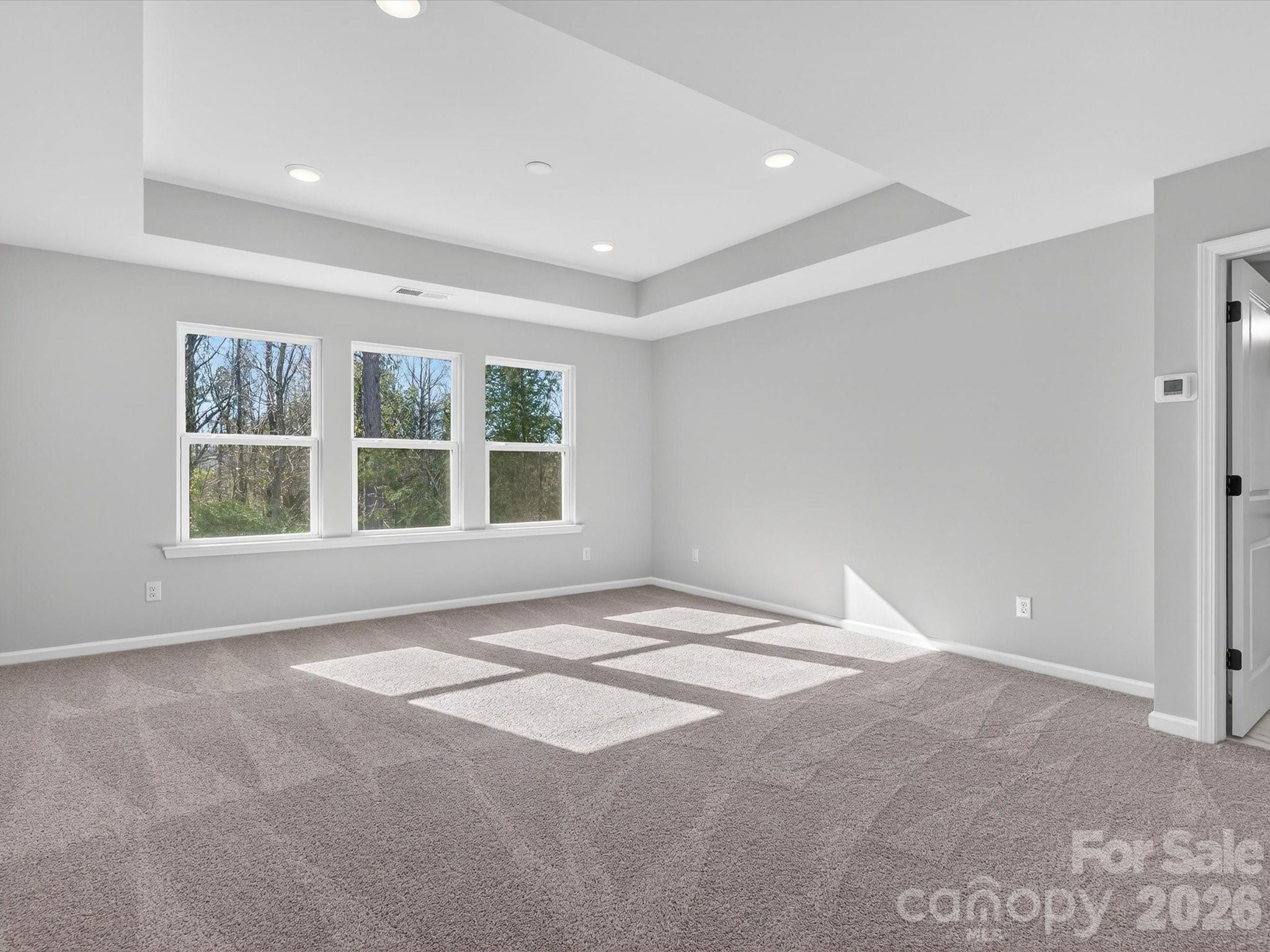 229 Alluvium Lane Property Photo 16