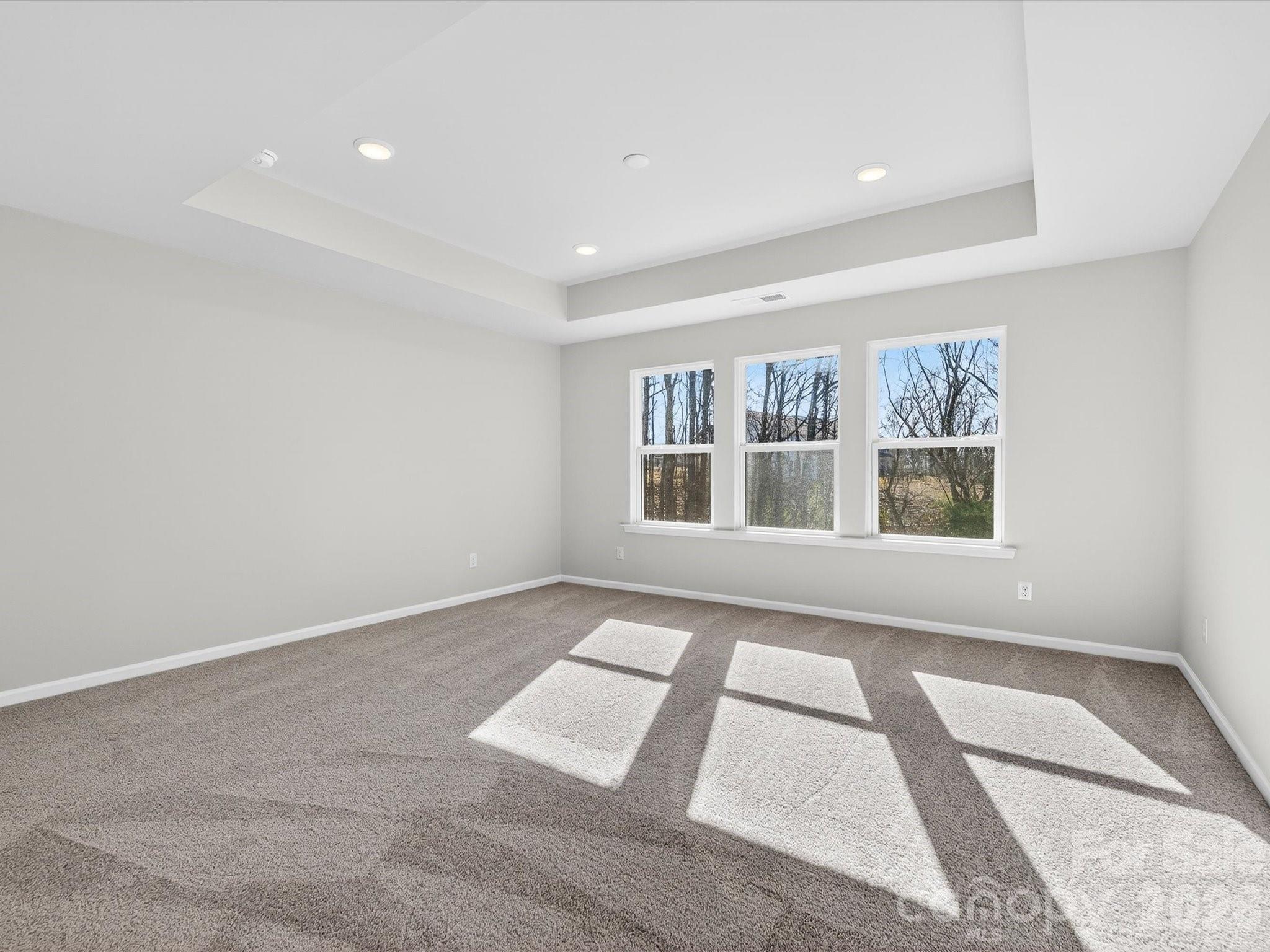 229 Alluvium Lane Property Photo 17