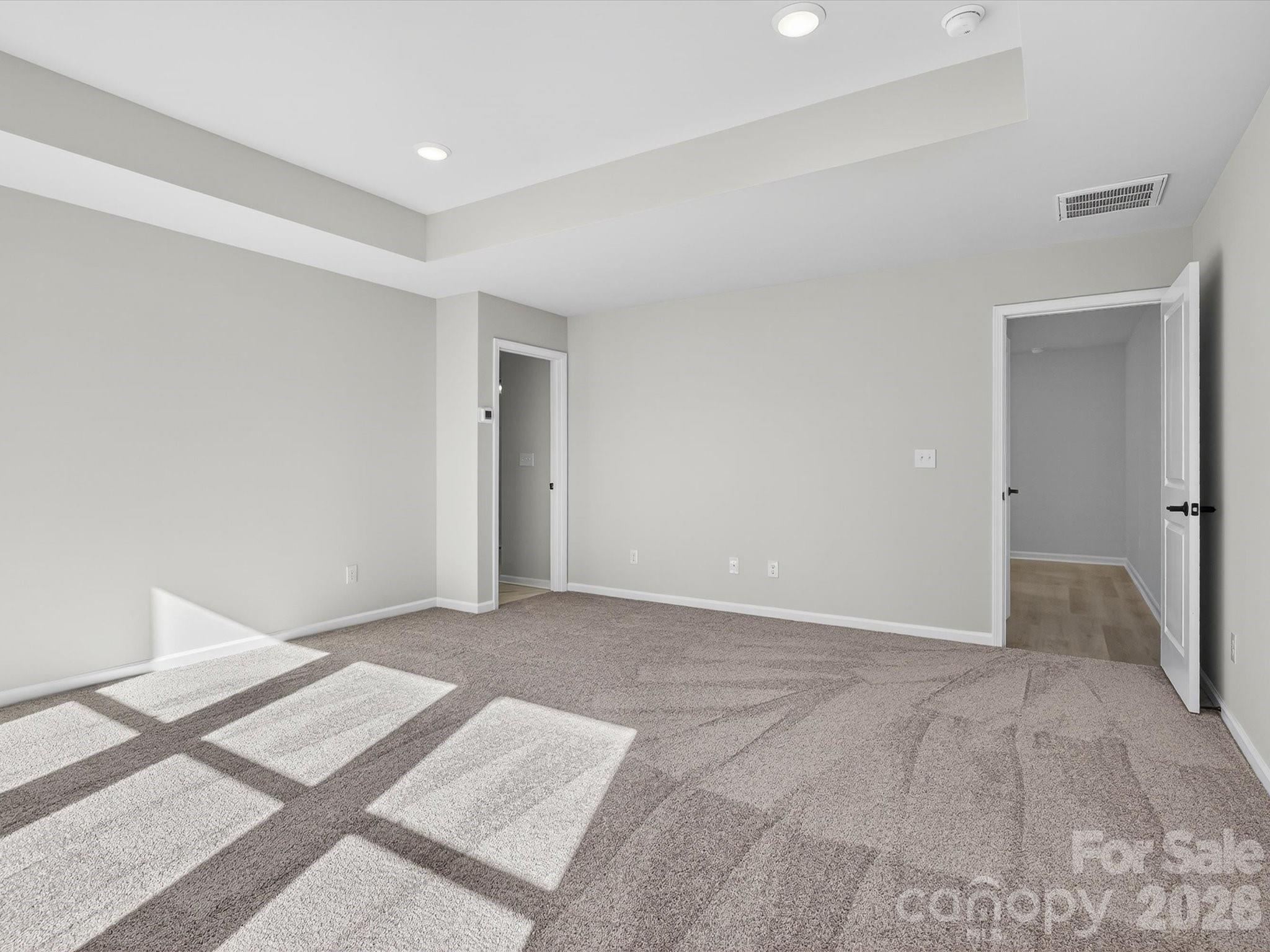 229 Alluvium Lane Property Photo 18