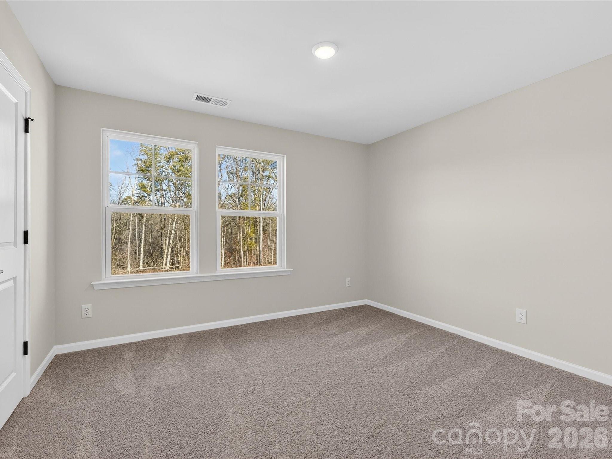 229 Alluvium Lane Property Photo 20