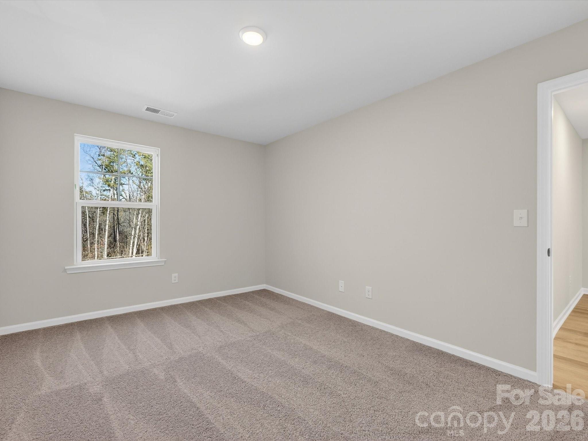 229 Alluvium Lane Property Photo 21