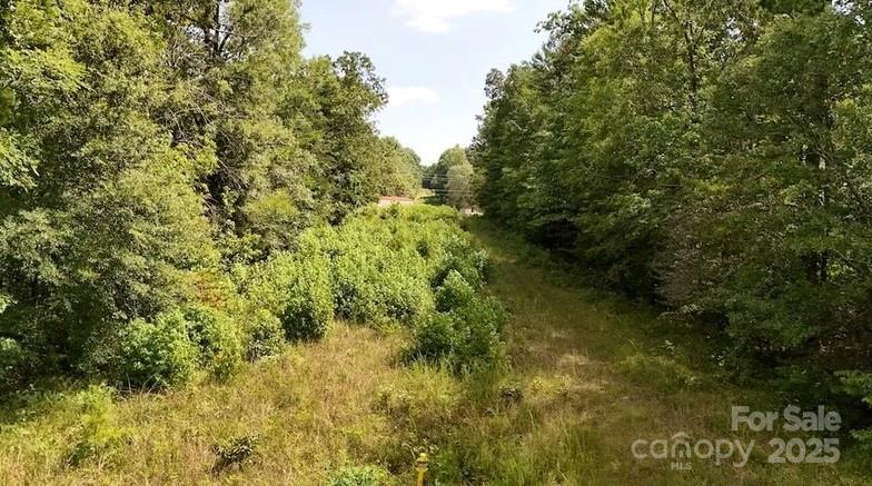 00 Blue Branch Road Tract B Property Photo 4