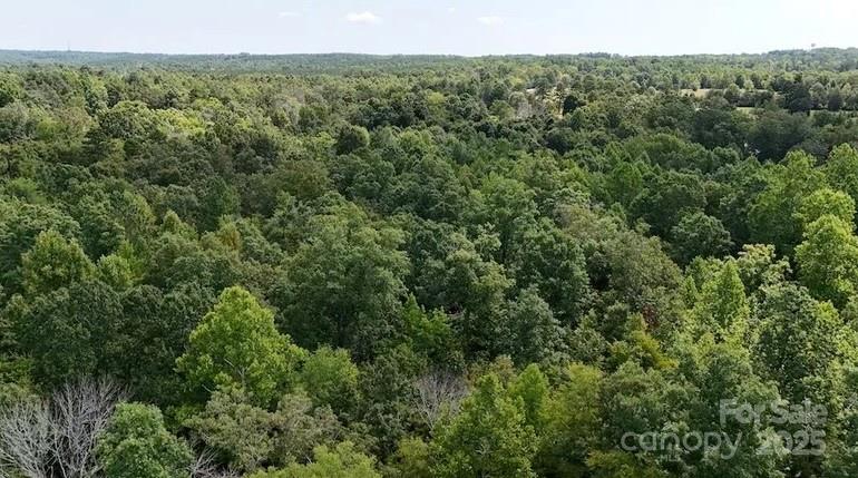 00 Blue Branch Road Tract B Property Photo 7