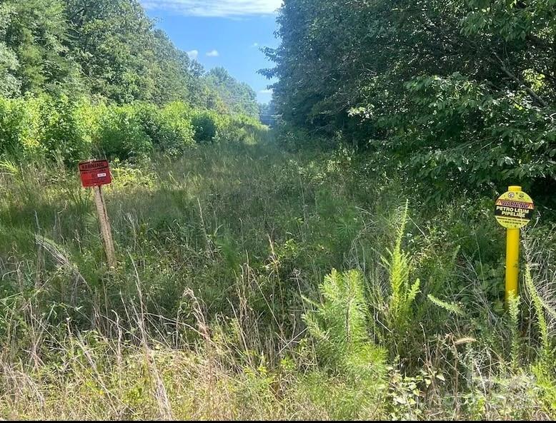 00 Blue Branch Road Tract B Property Photo 8