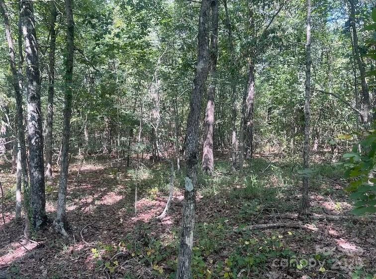 00 Blue Branch Road Tract B Property Photo 9