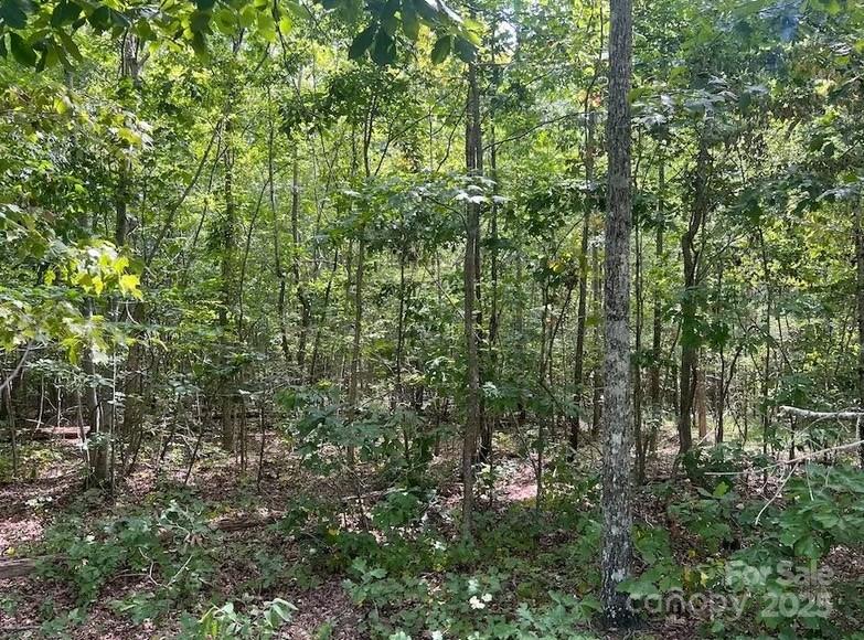 00 Blue Branch Road Tract B Property Photo 11