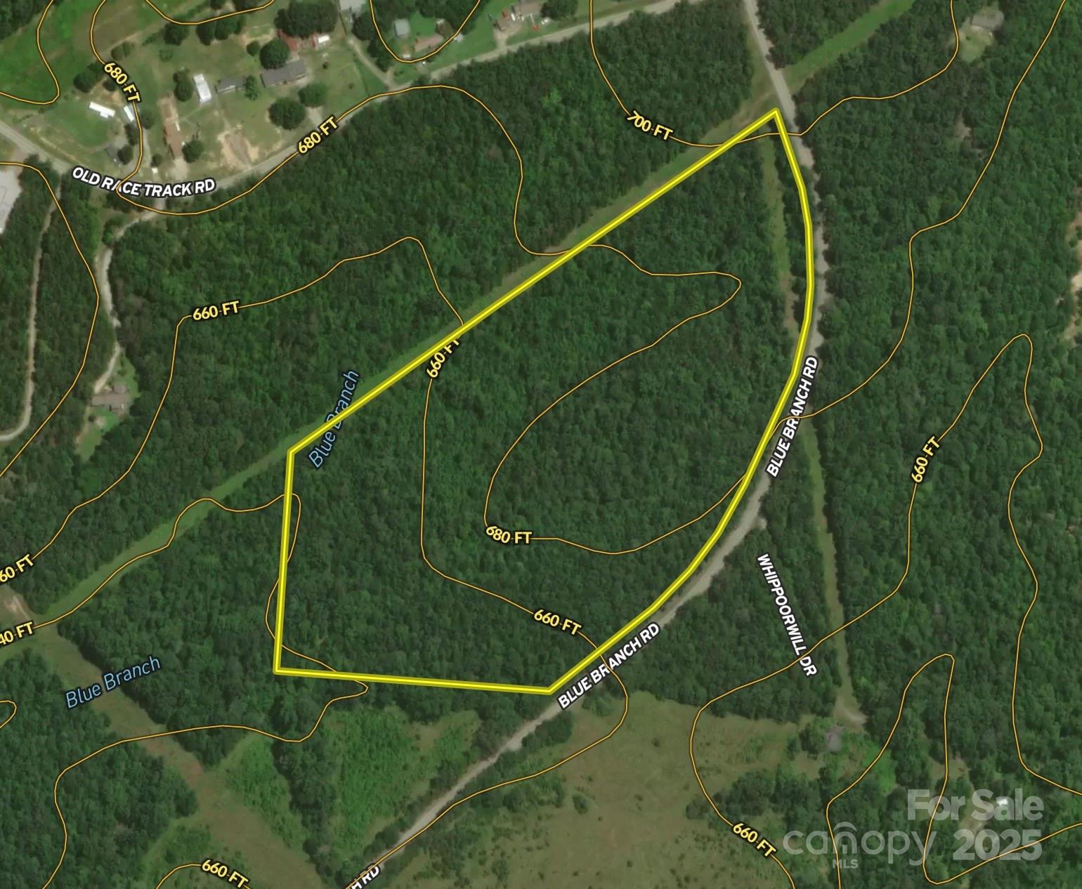 00 Blue Branch Road Tract C Property Photo 1