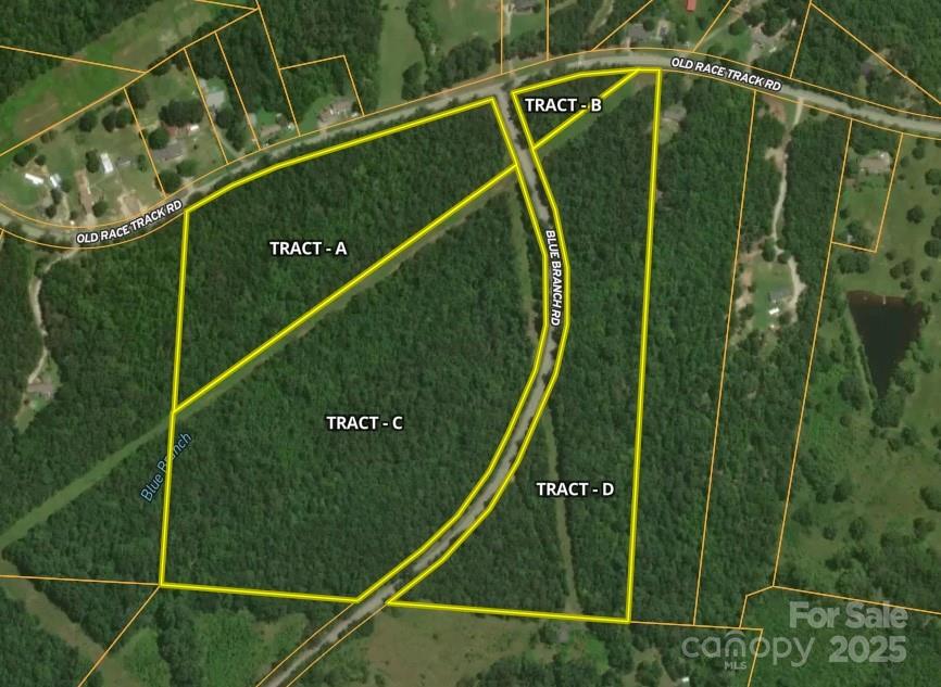 00 Blue Branch Road Tract C Property Photo 2