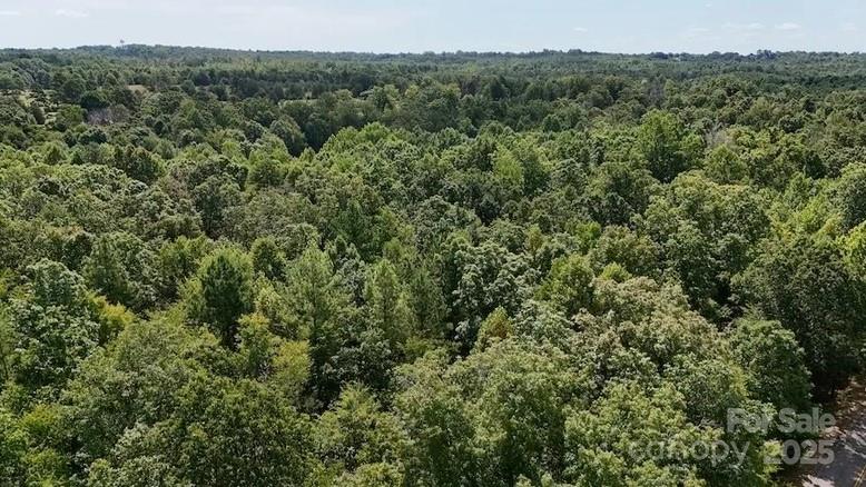 00 Blue Branch Road Tract C Property Photo 6