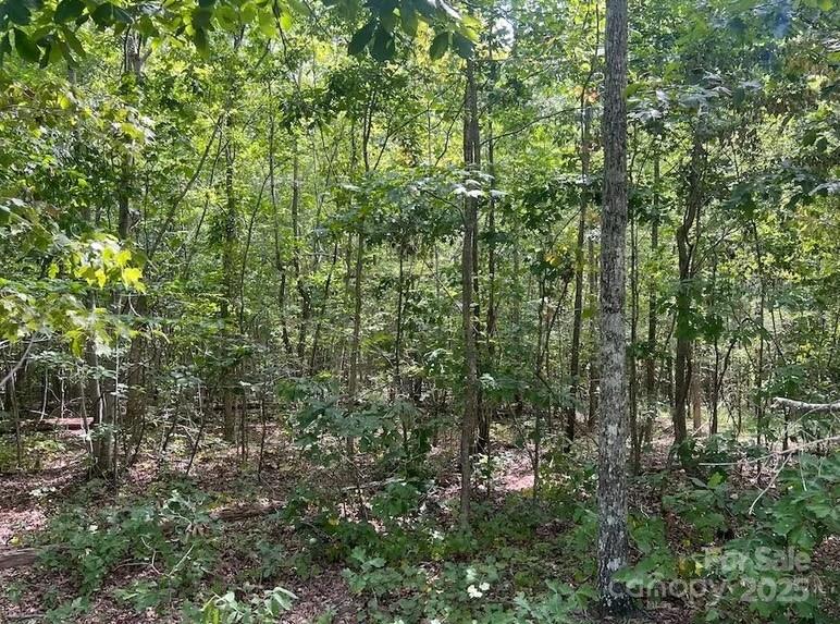 00 Blue Branch Road Tract C Property Photo 7