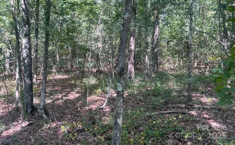 00 Blue Branch Road Tract C Property Photo 8