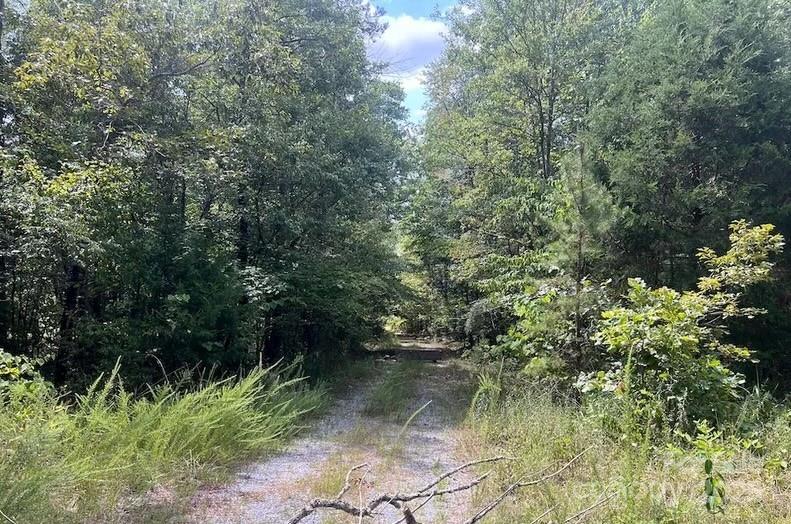 00 Blue Branch Road Tract C Property Photo 9