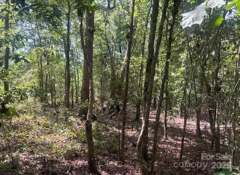 00 Blue Branch Road Tract C Property Photo 10