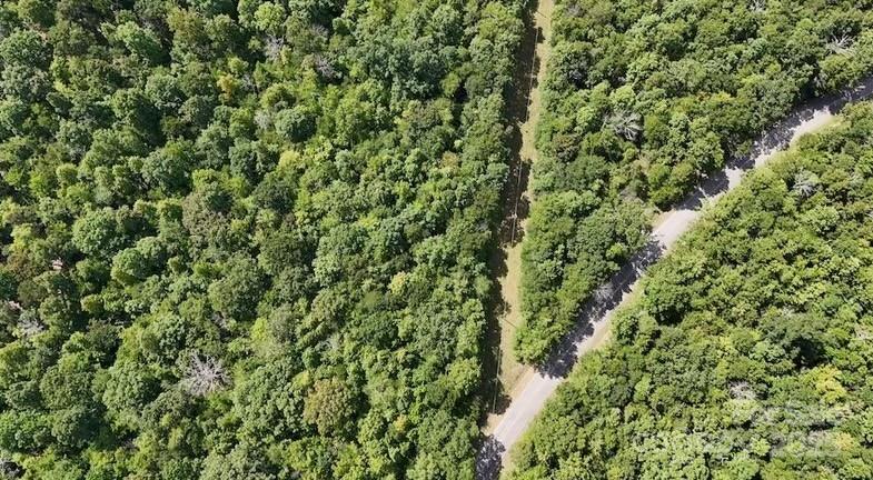 00 Blue Branch Road Tract C Property Photo 12