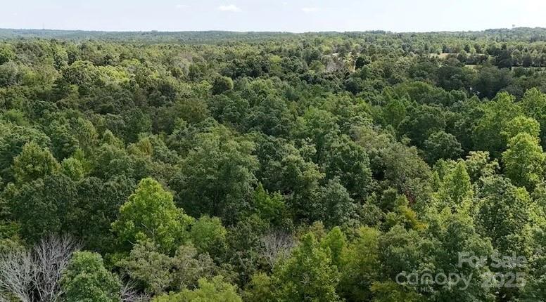 00 Blue Branch Road Tract C Property Photo 13