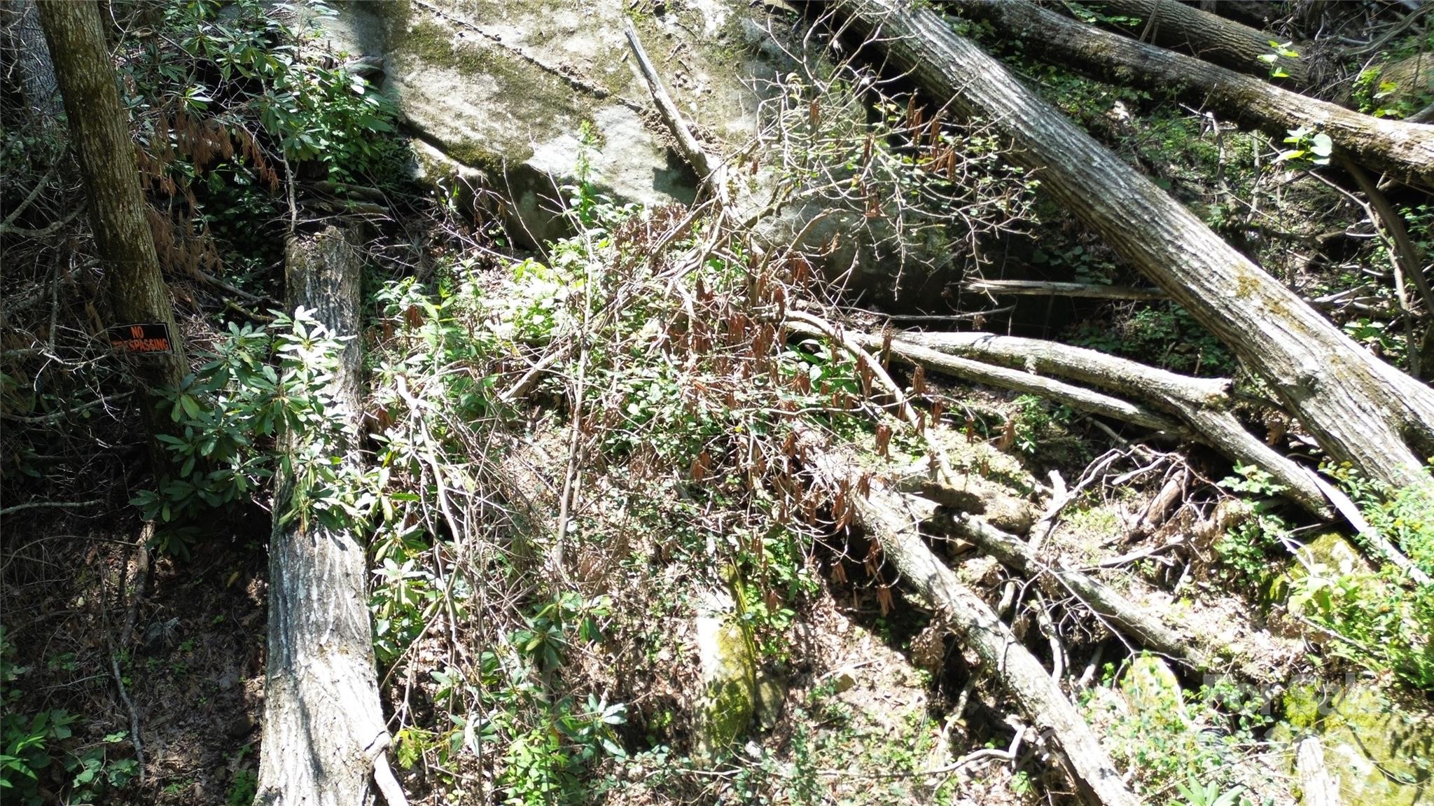 Tbd Holiday Drive Property Photo 9