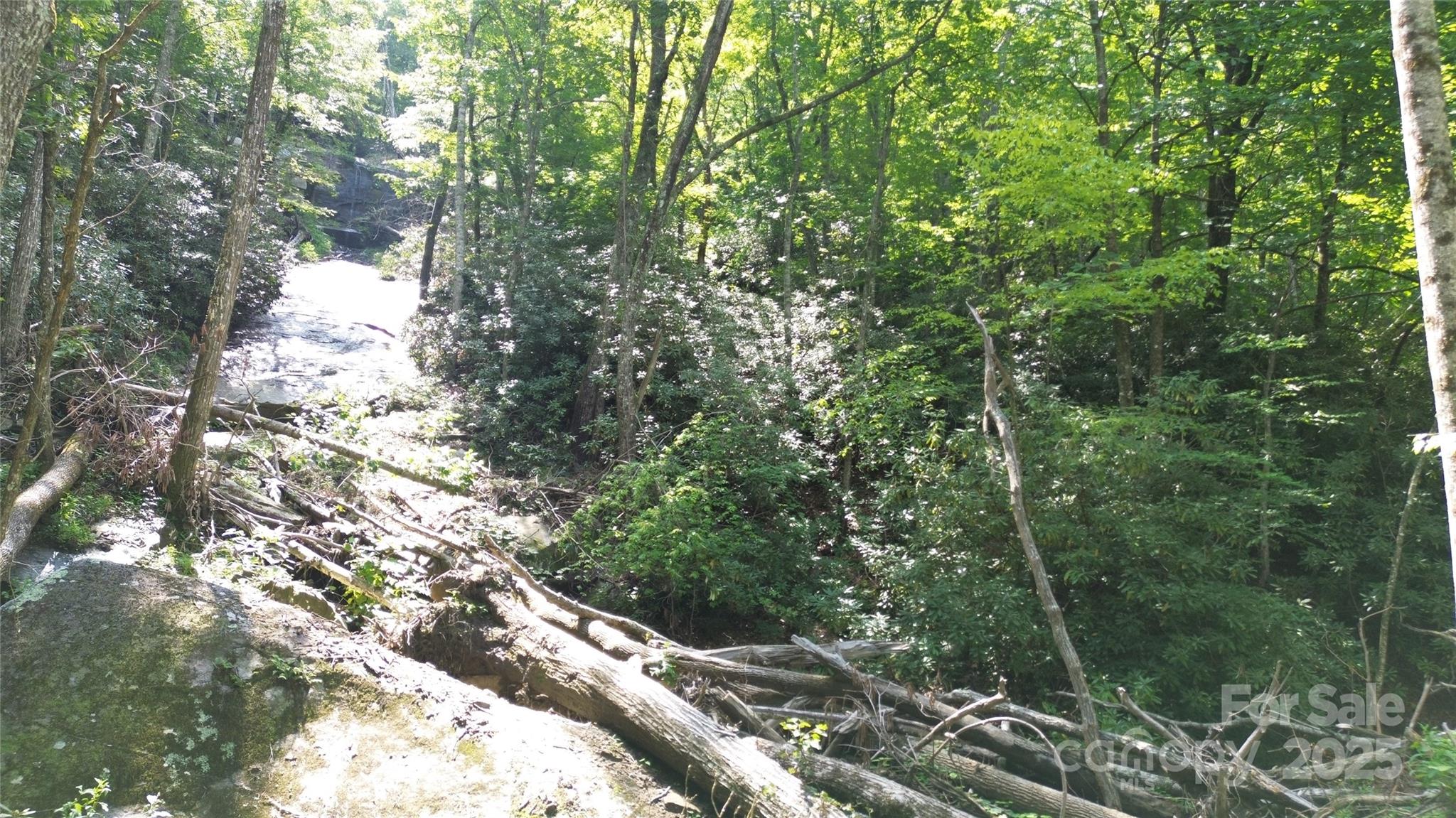 Tbd Holiday Drive Property Photo 10