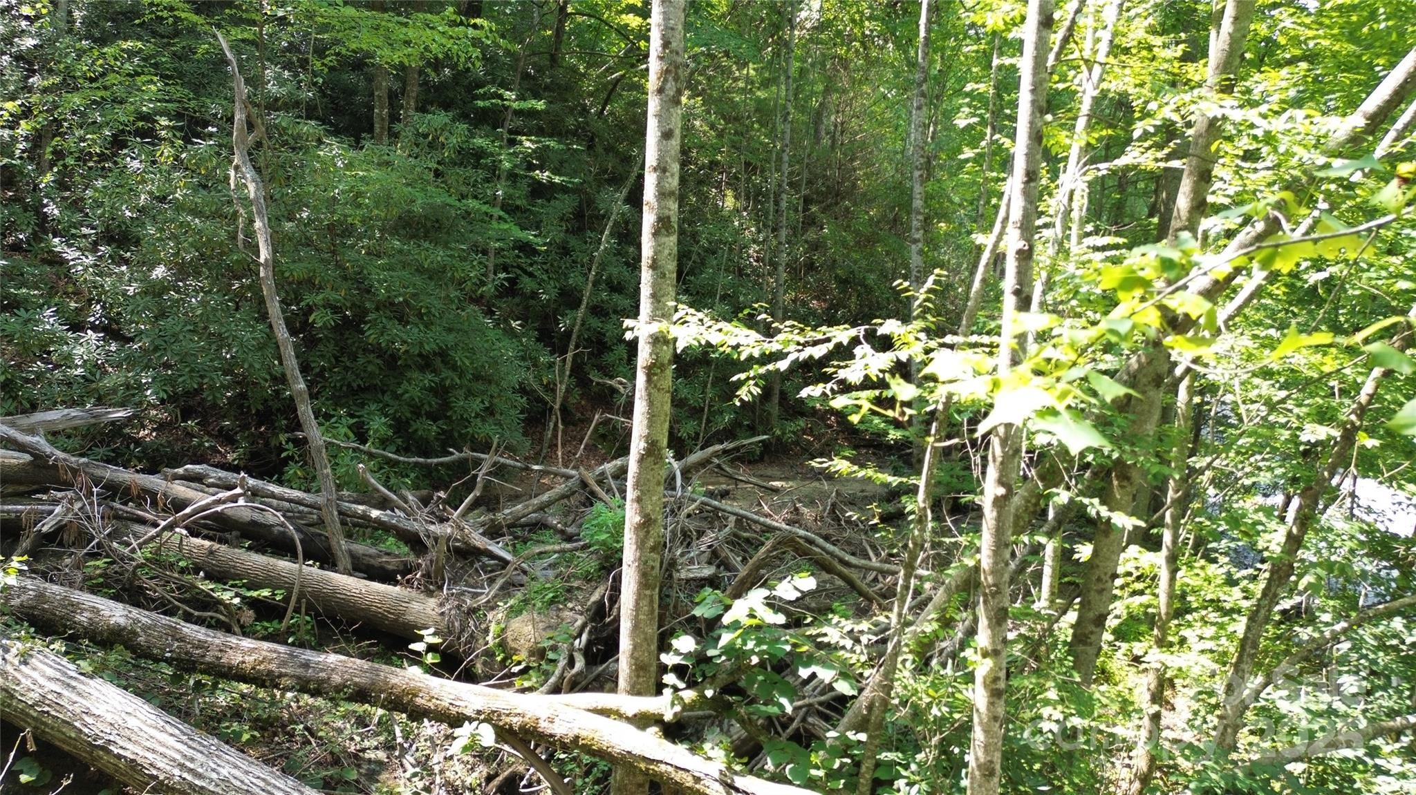 Tbd Holiday Drive Property Photo 11