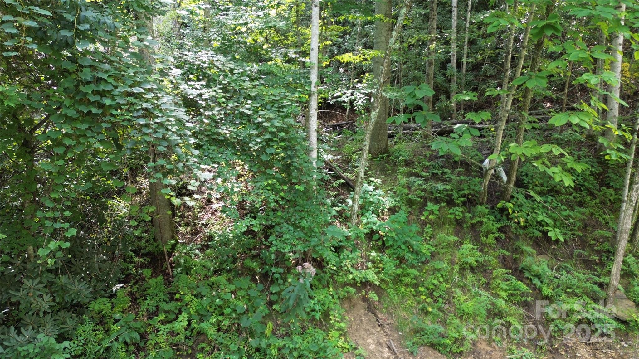 Tbd Holiday Drive Property Photo 12