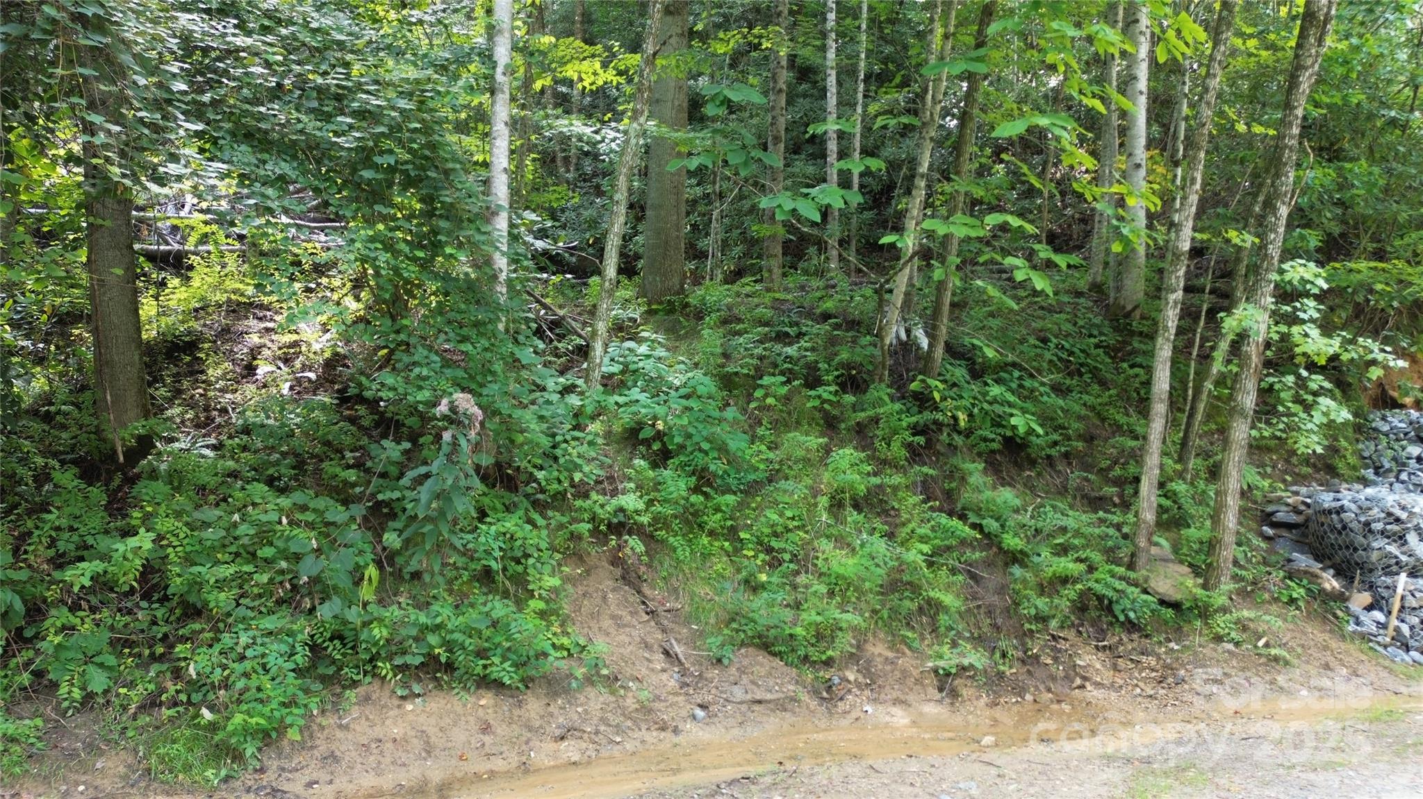 Tbd Holiday Drive Property Photo 13