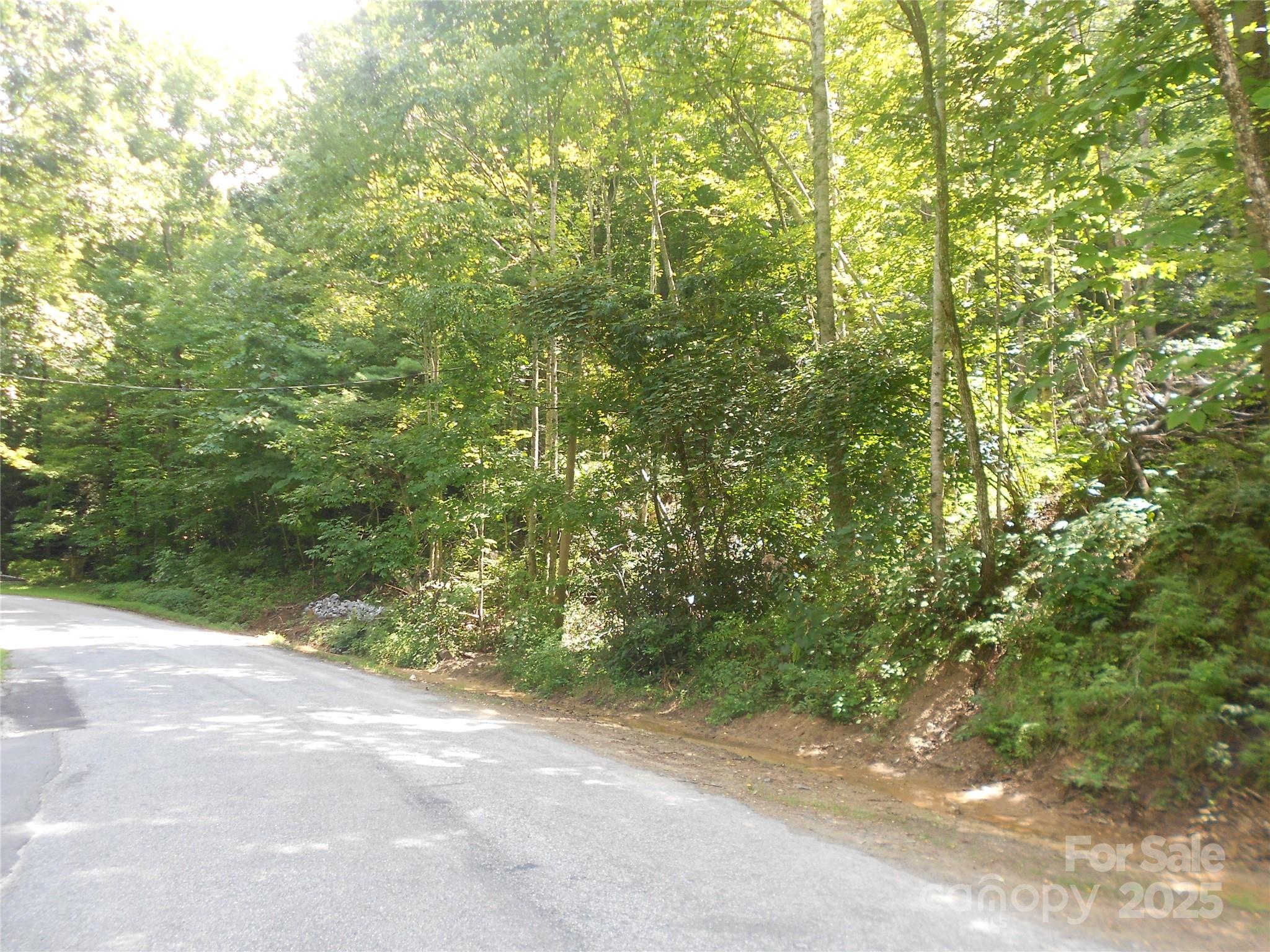 Tbd Holiday Drive Property Photo 14