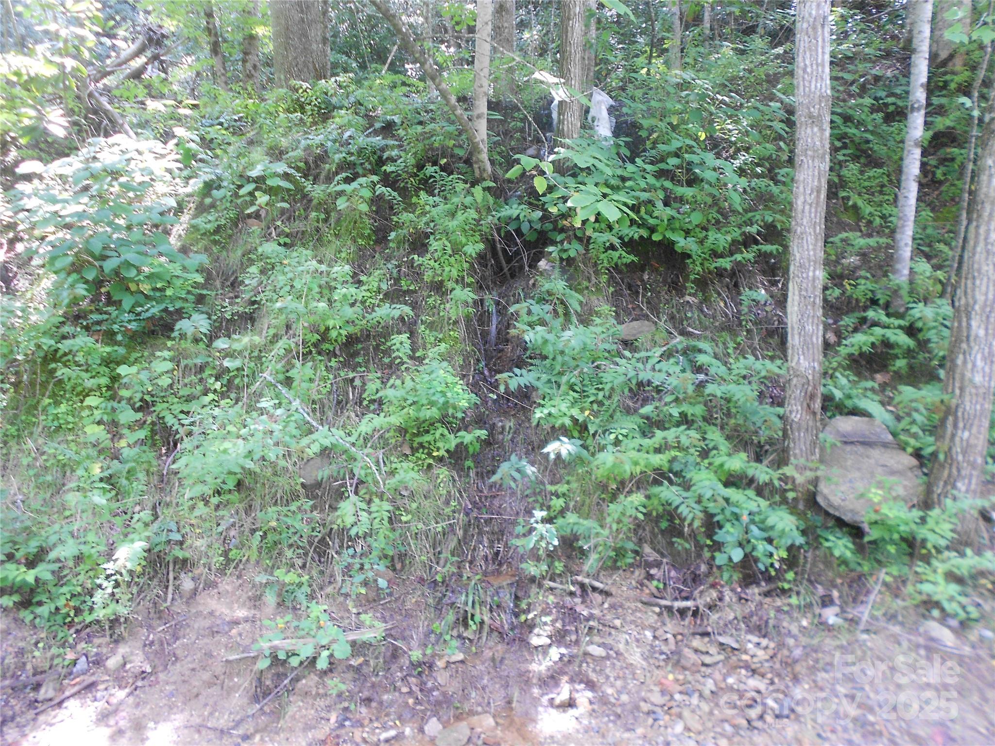 Tbd Holiday Drive Property Photo 15