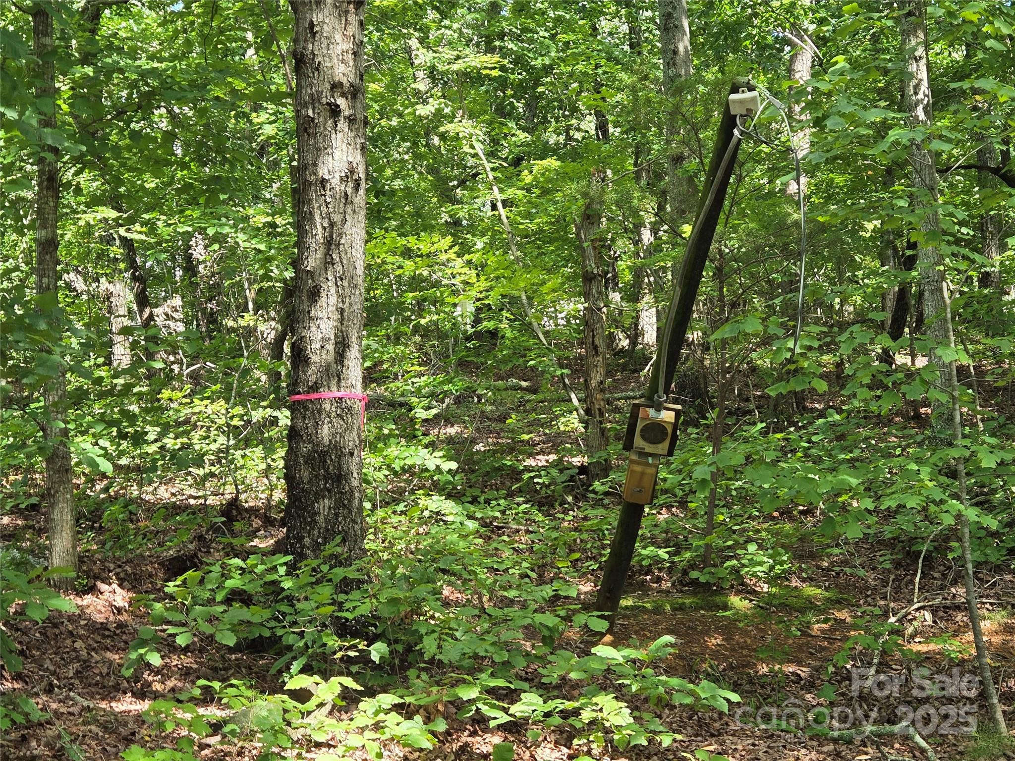 0 Lakeshore Drive 258 Property Photo 8