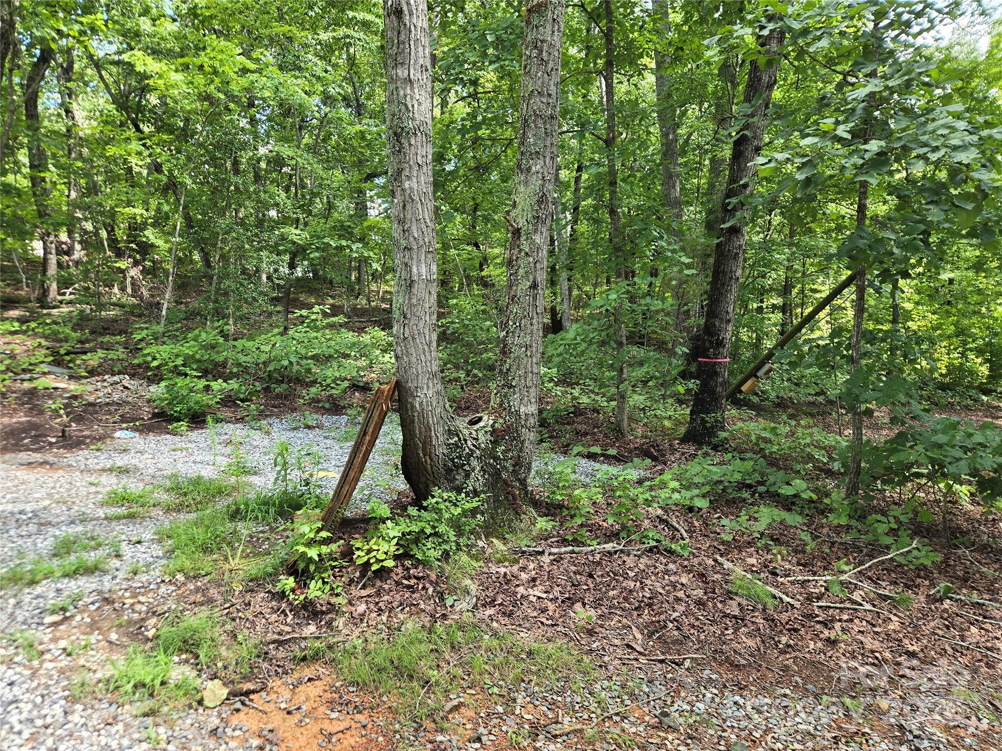 0 Lakeshore Drive 258 Property Photo 9